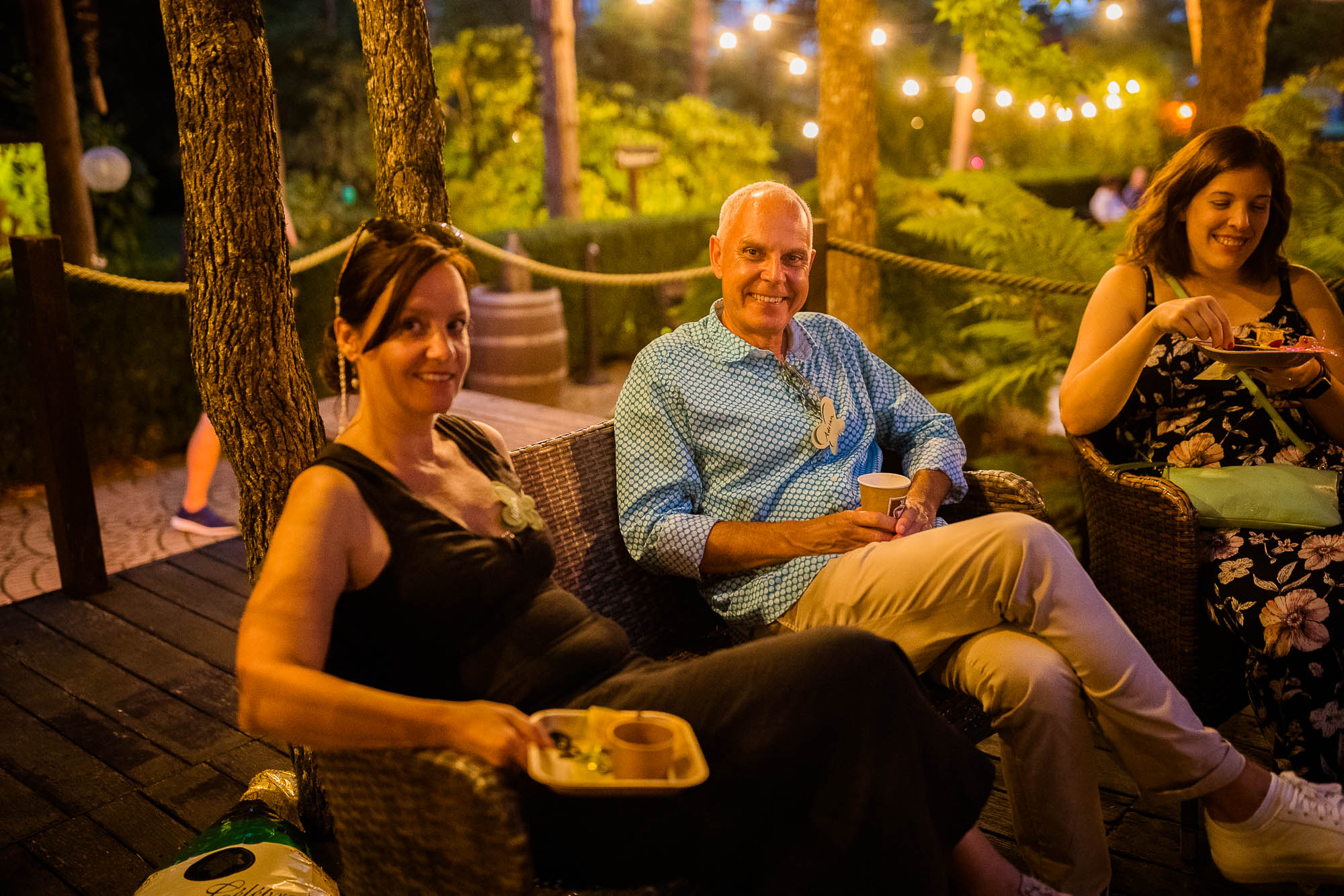 Export x3 1DX20341 Party