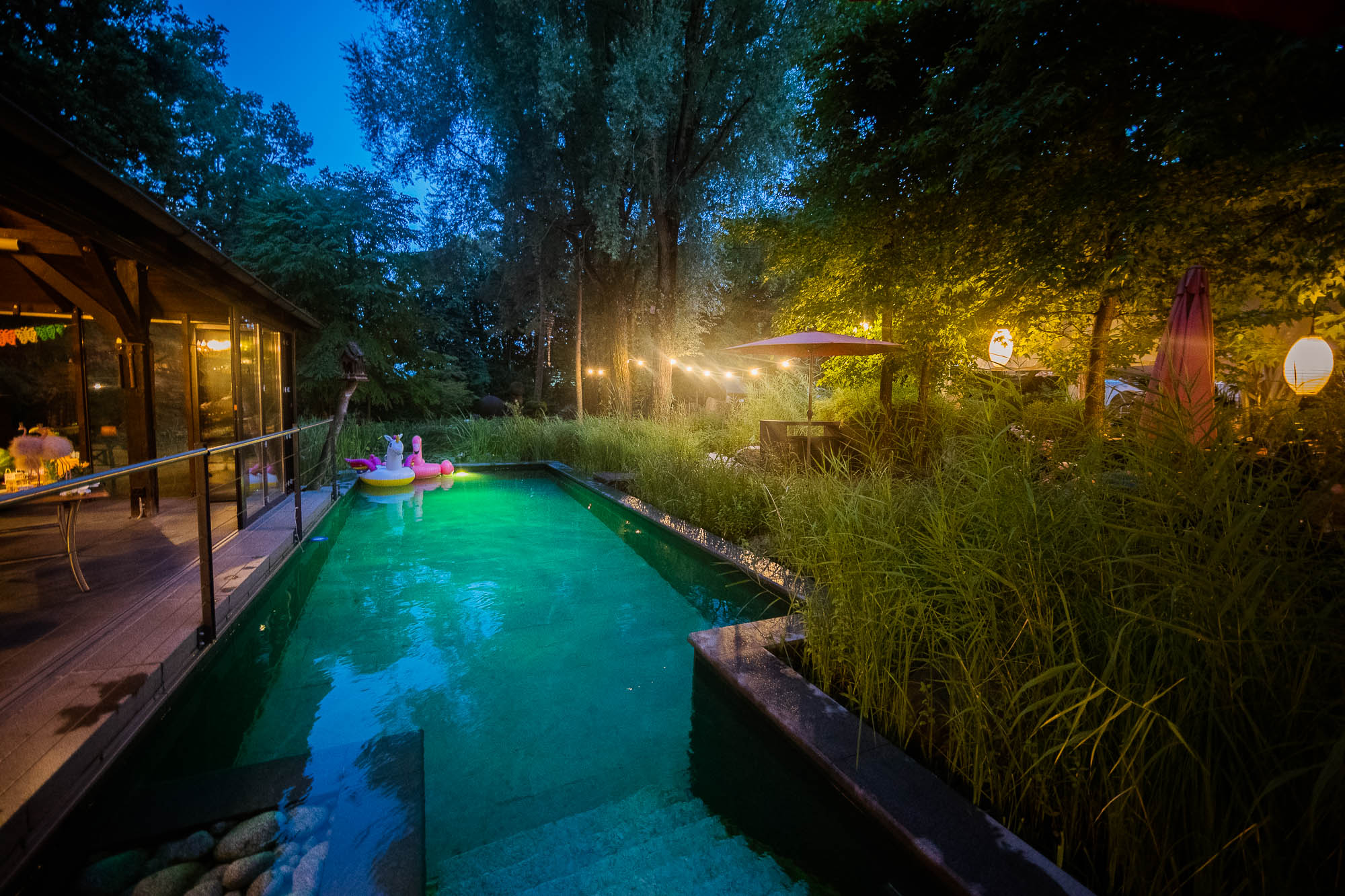 Export x3 1DX20342 Party