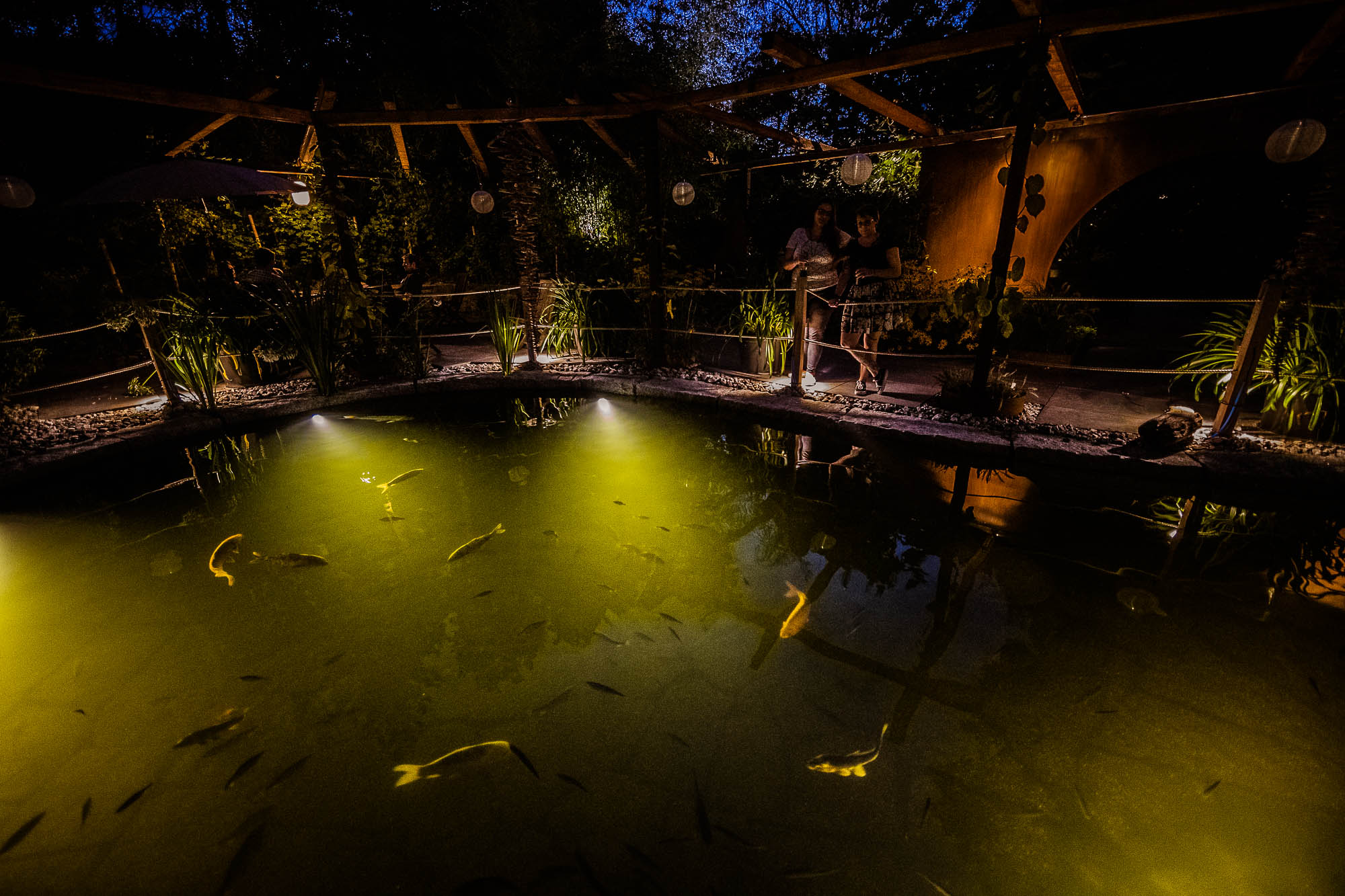 Export x3 1DX20353 Party