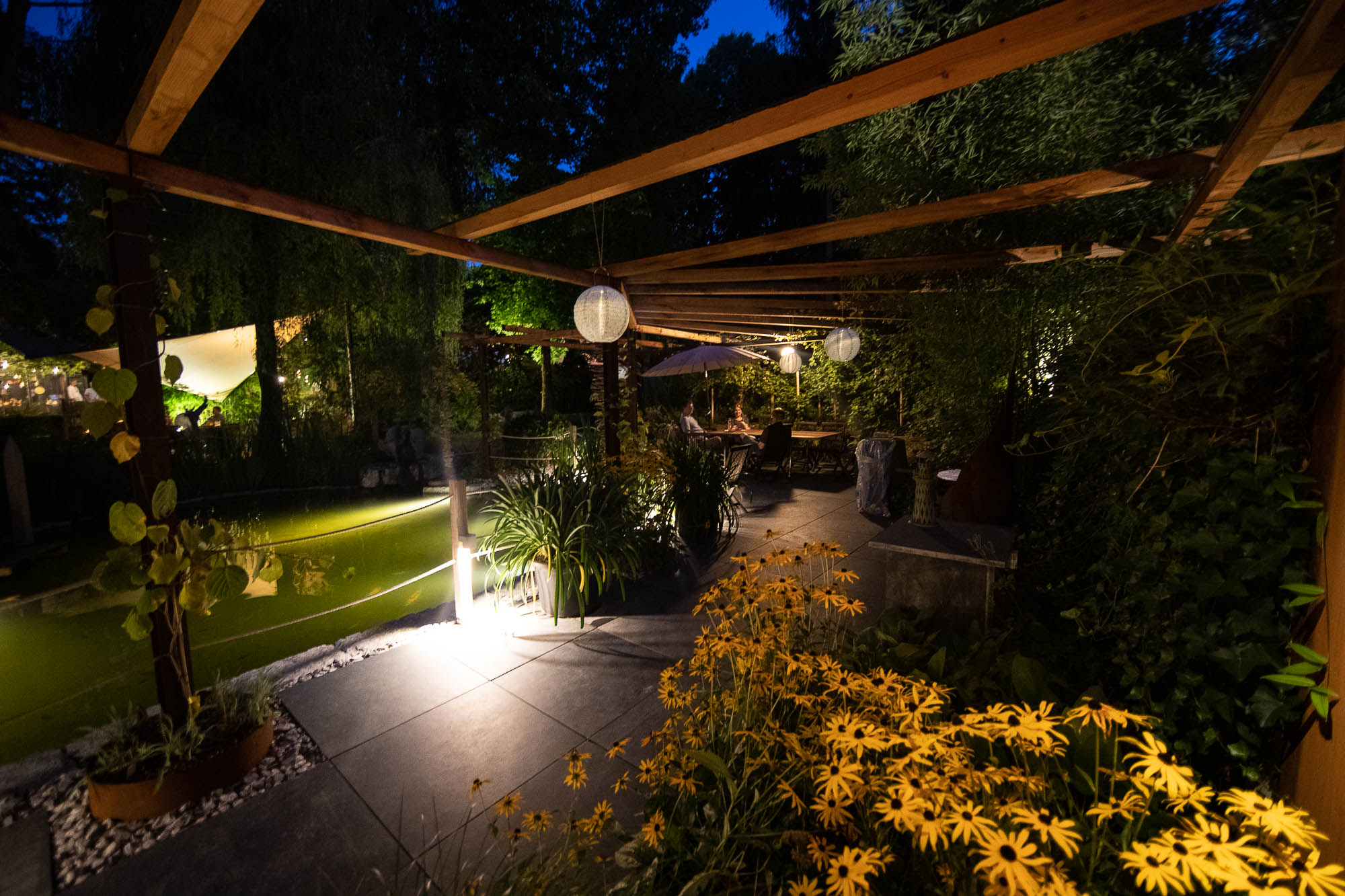 Export x3 1DX20359 Party