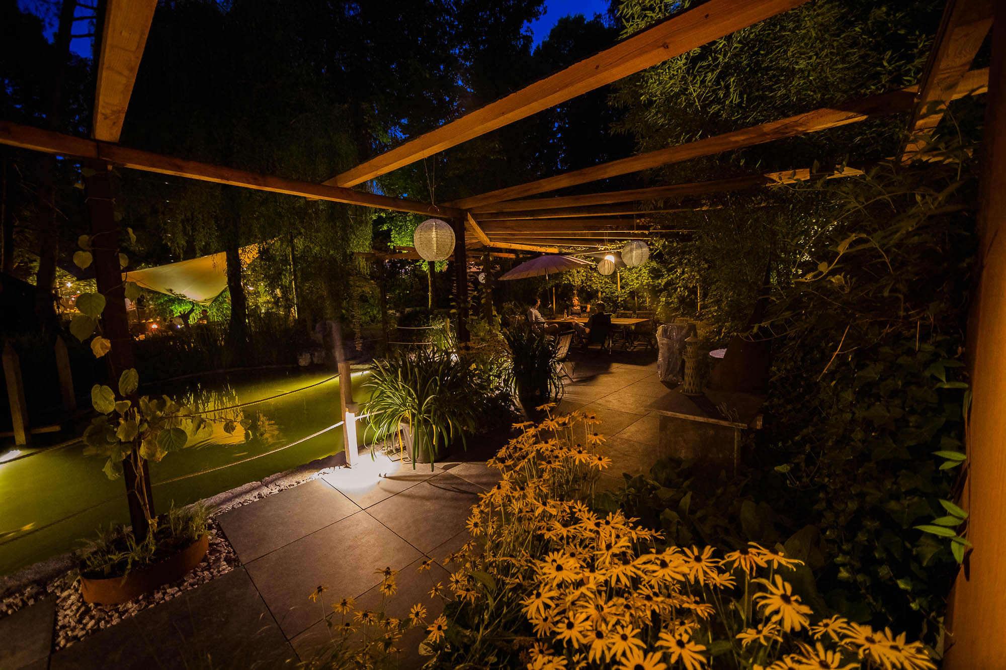 Export x3 1DX20362 Party