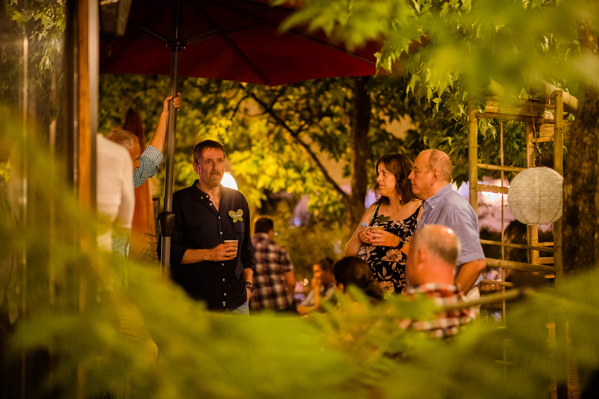 Export x3 1DX20371 Party