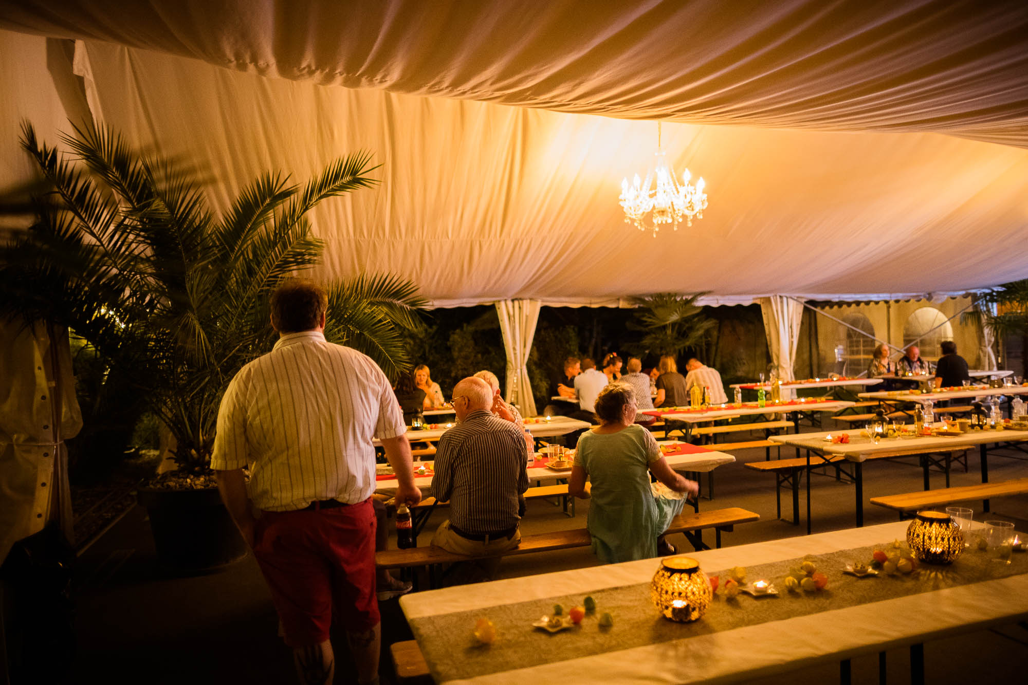 Export x3 1DX20394 Party