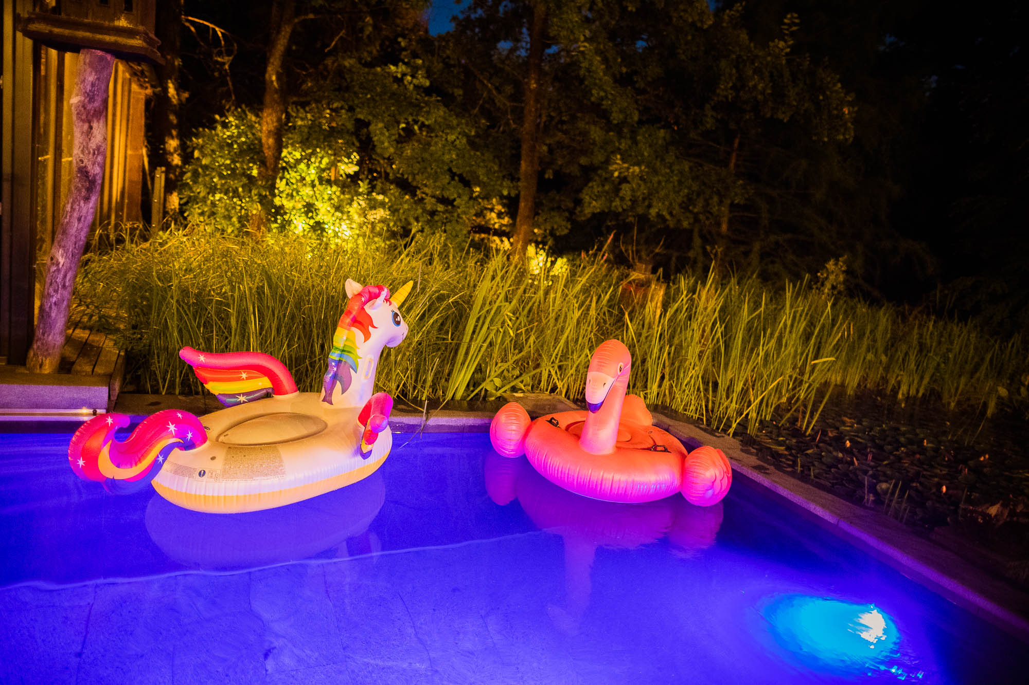 Export x3 1DX20415 Party