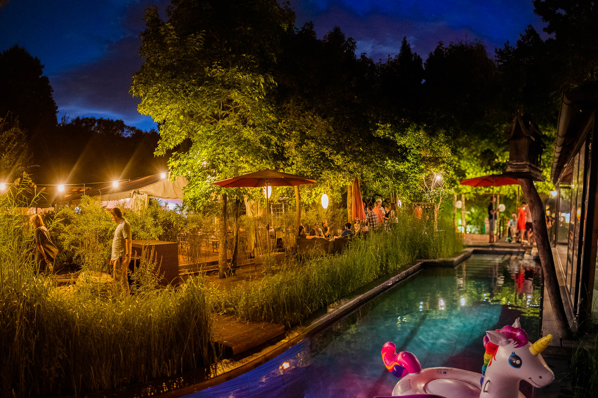 Export x3 1DX20416 Pano Party