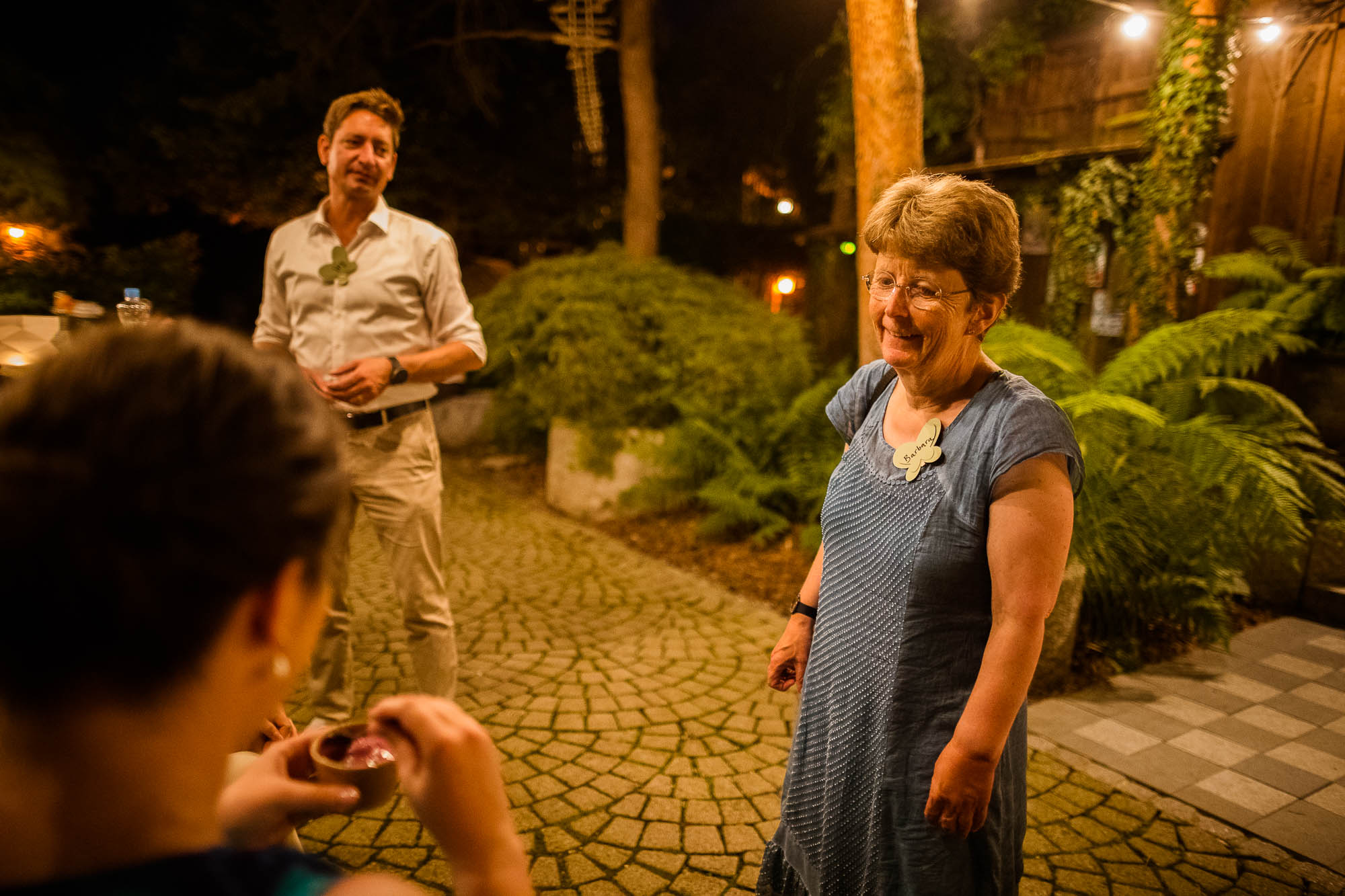 Export x3 1DX20426 Party