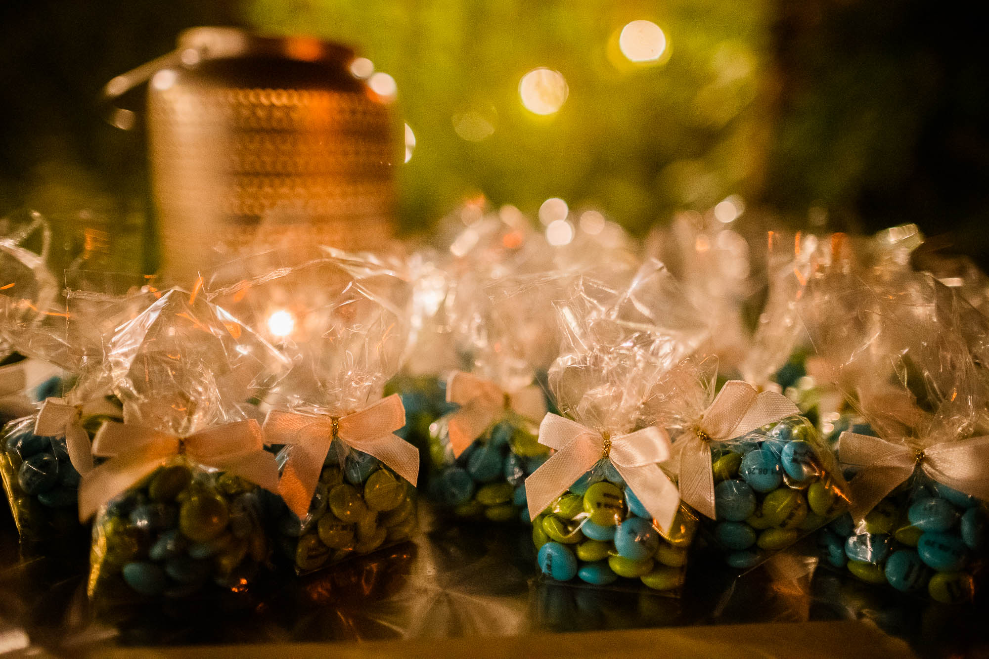 Export x3 1DX20428 Party