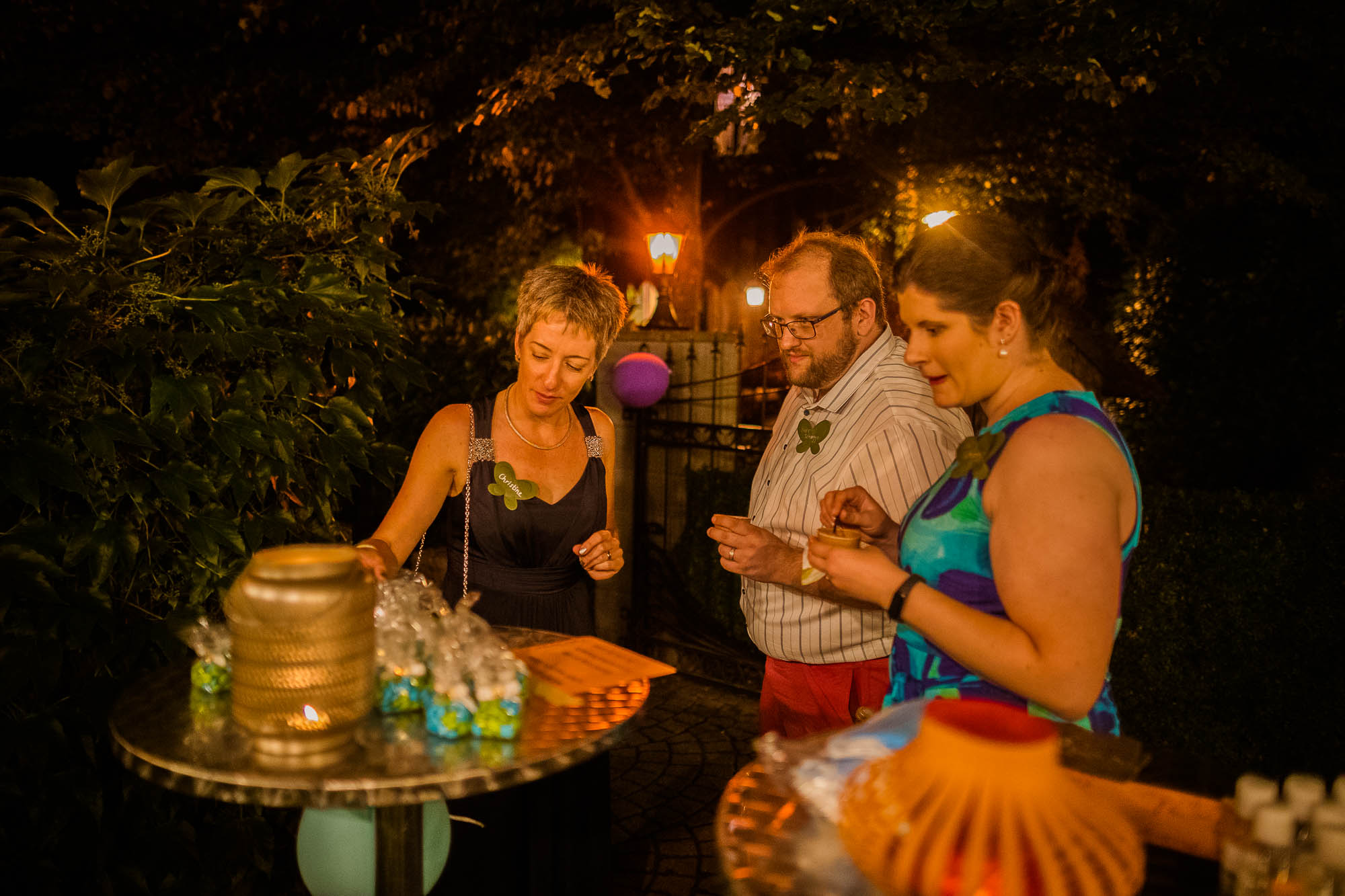 Export x3 1DX20429 Party