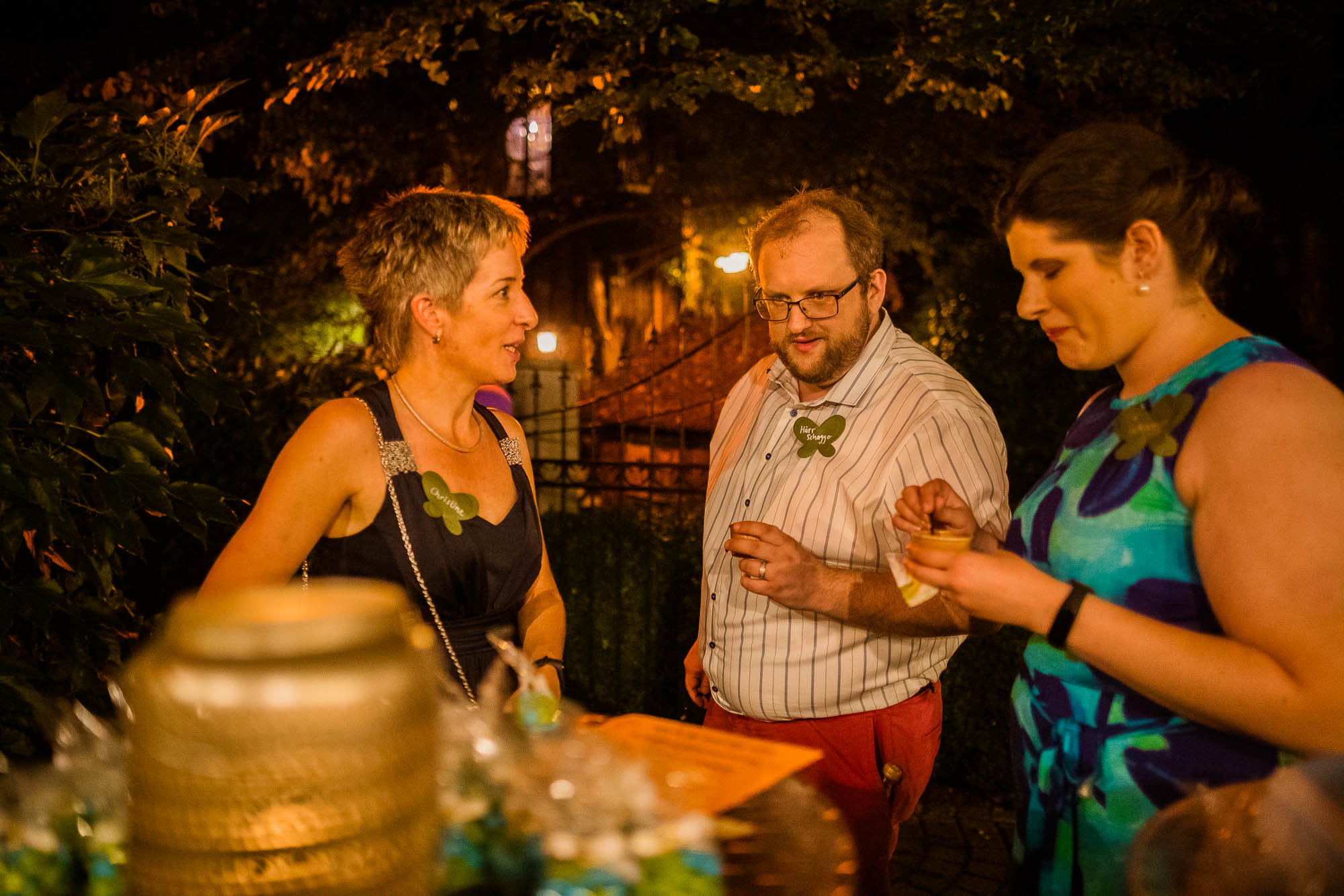 Export x3 1DX20431 Party