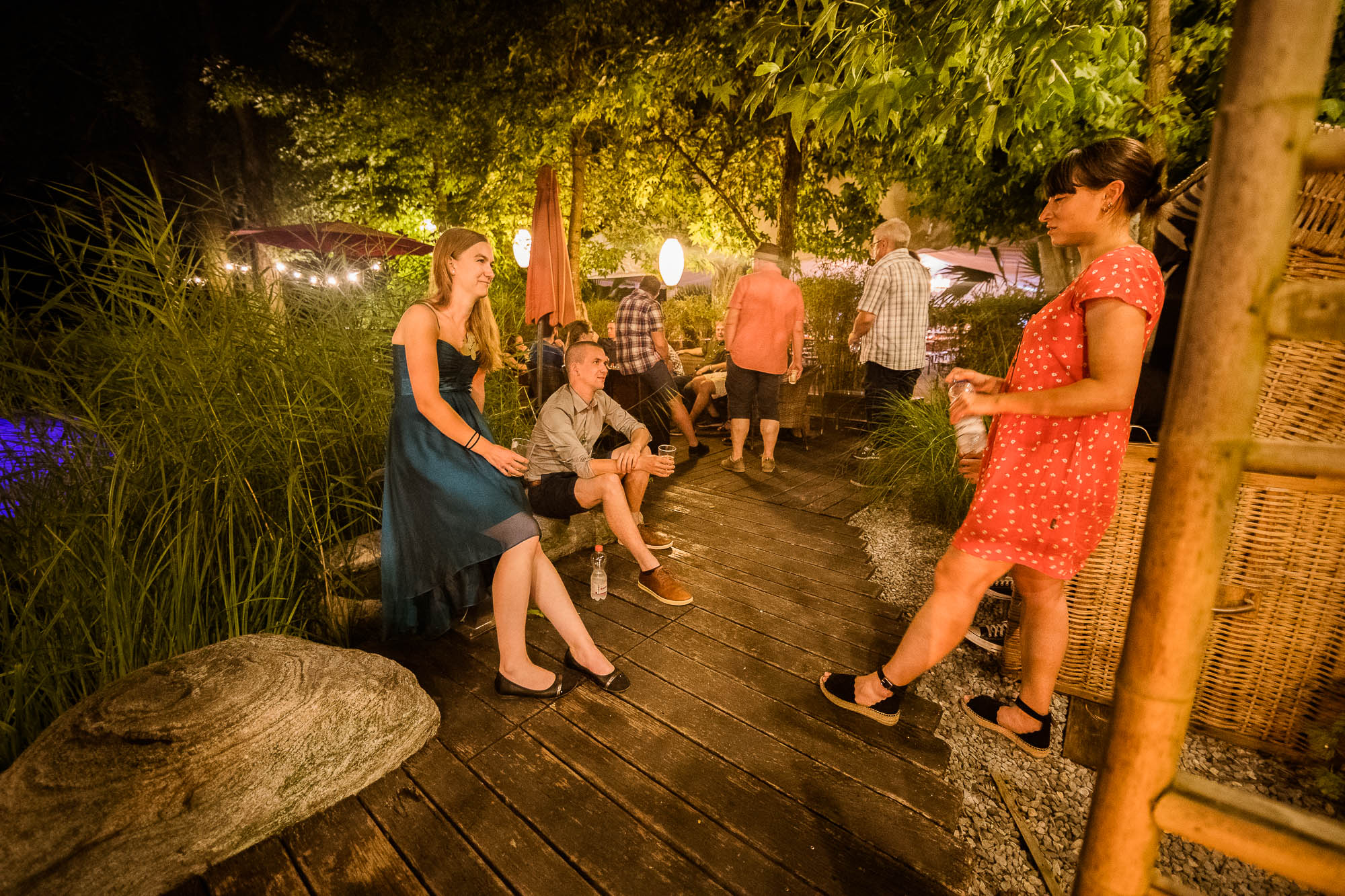 Export x3 1DX20439 Party