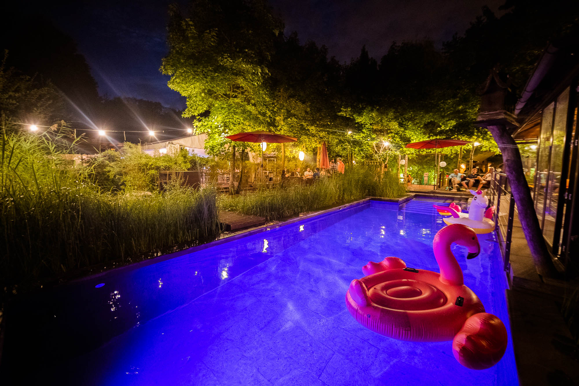 Export x3 1DX20441 Party