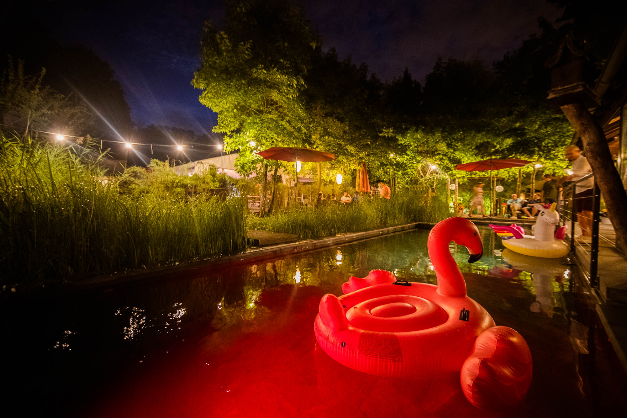 Export x3 1DX20445 Party