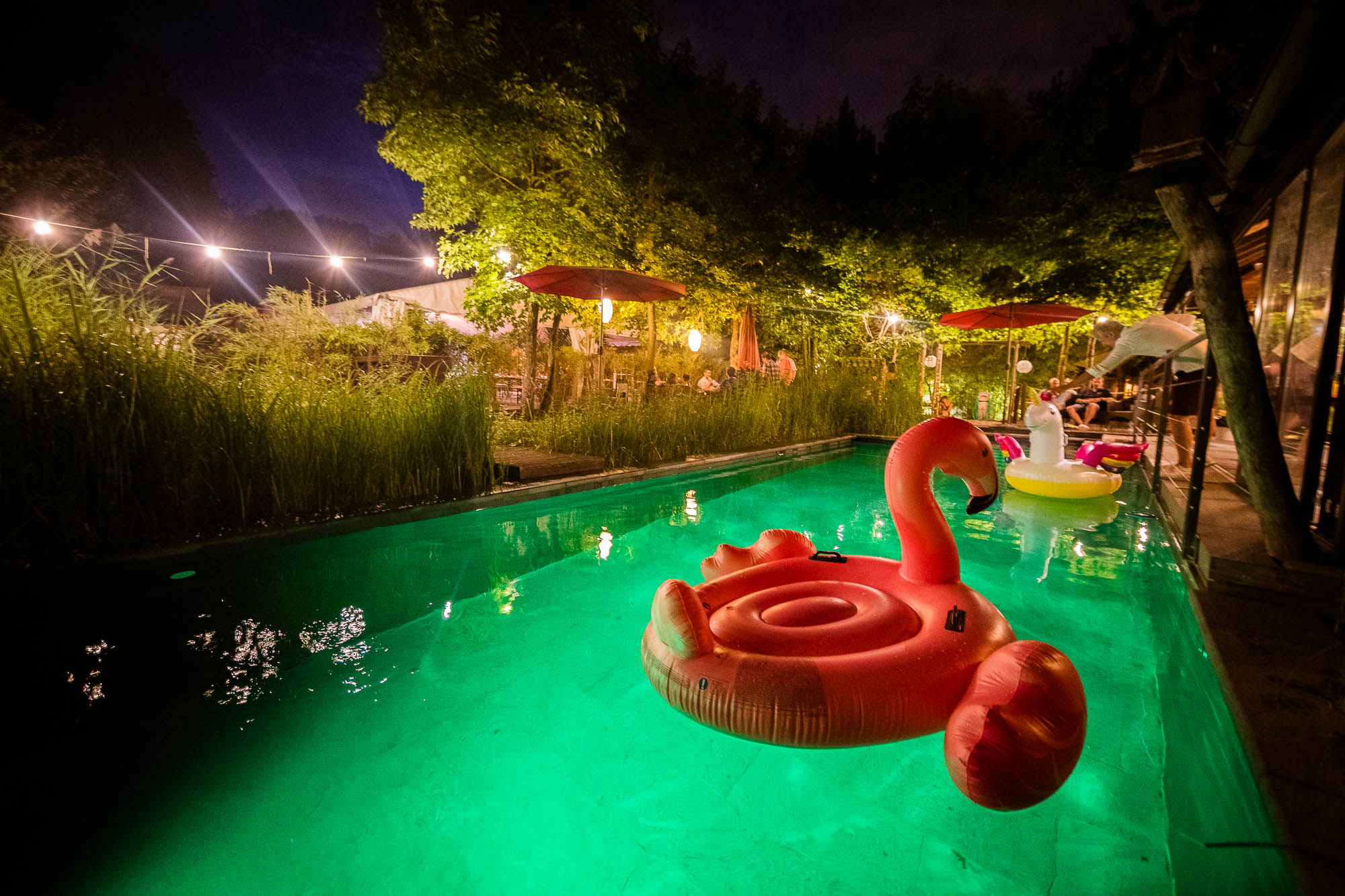 Export x3 1DX20447 Party