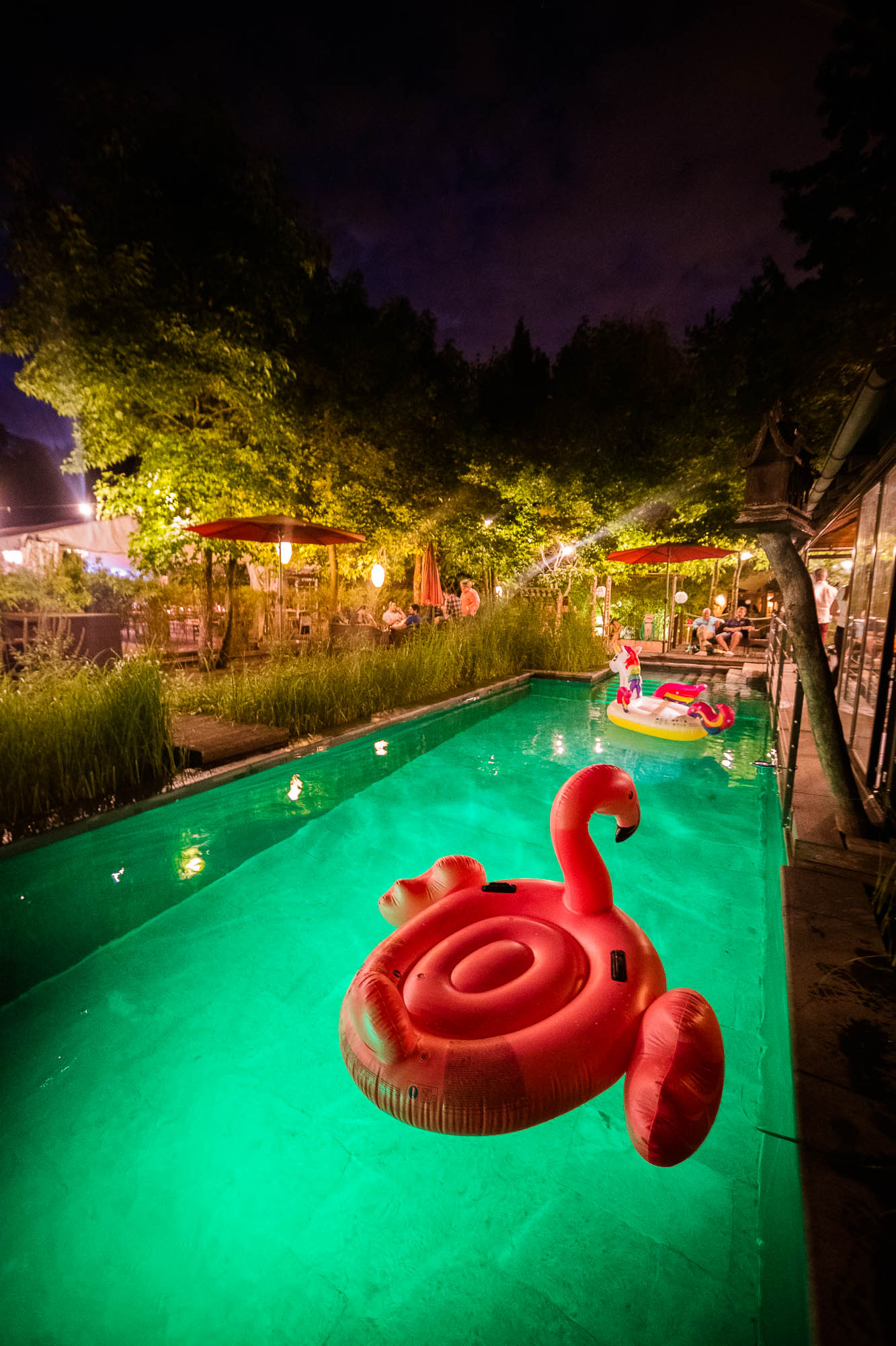 Export x3 1DX20449 Party