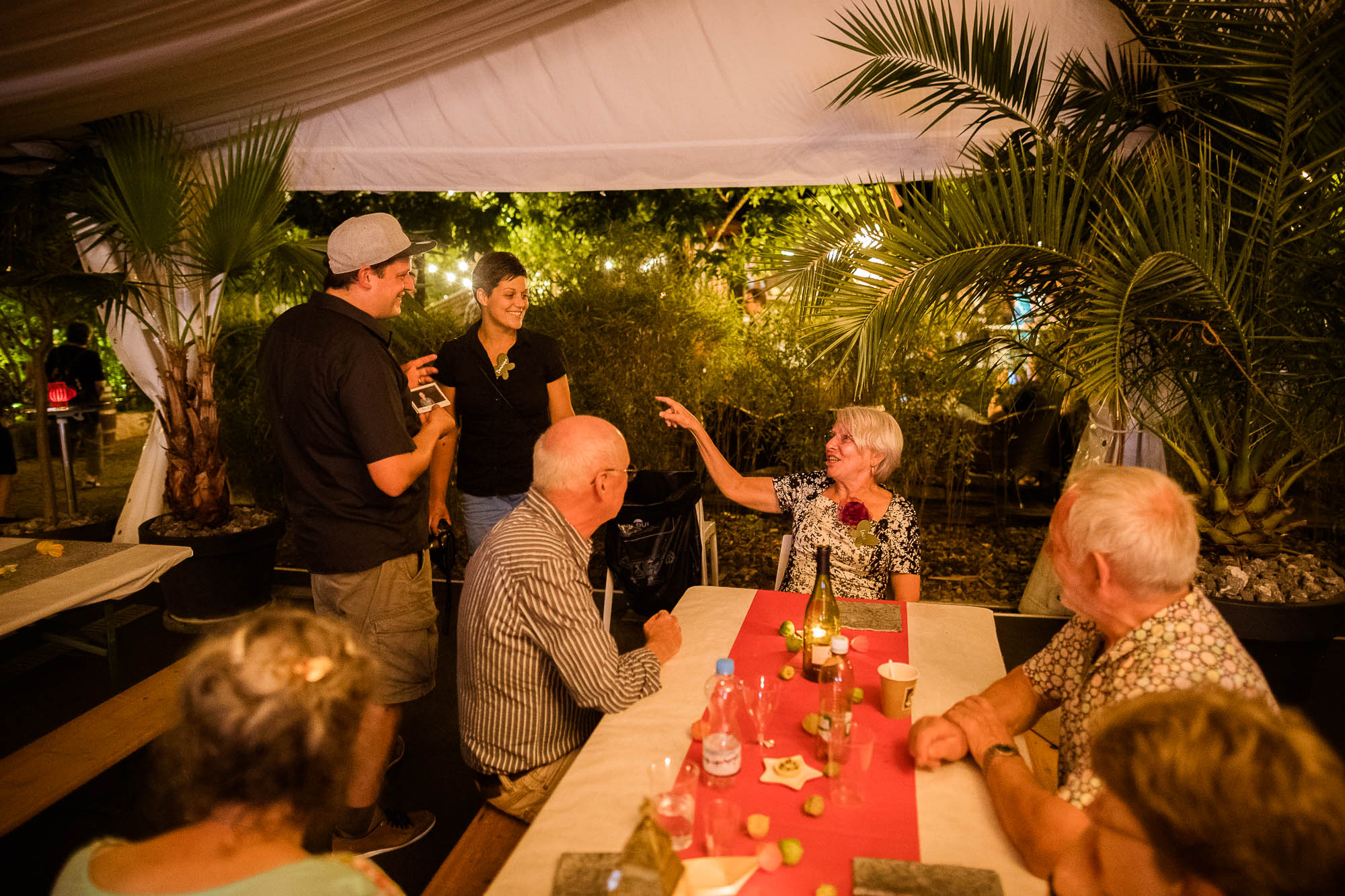 Export x3 1DX20464 Party