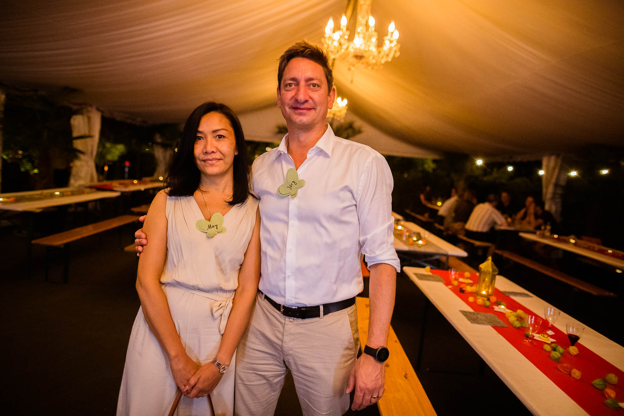 Export x3 1DX20466 Party