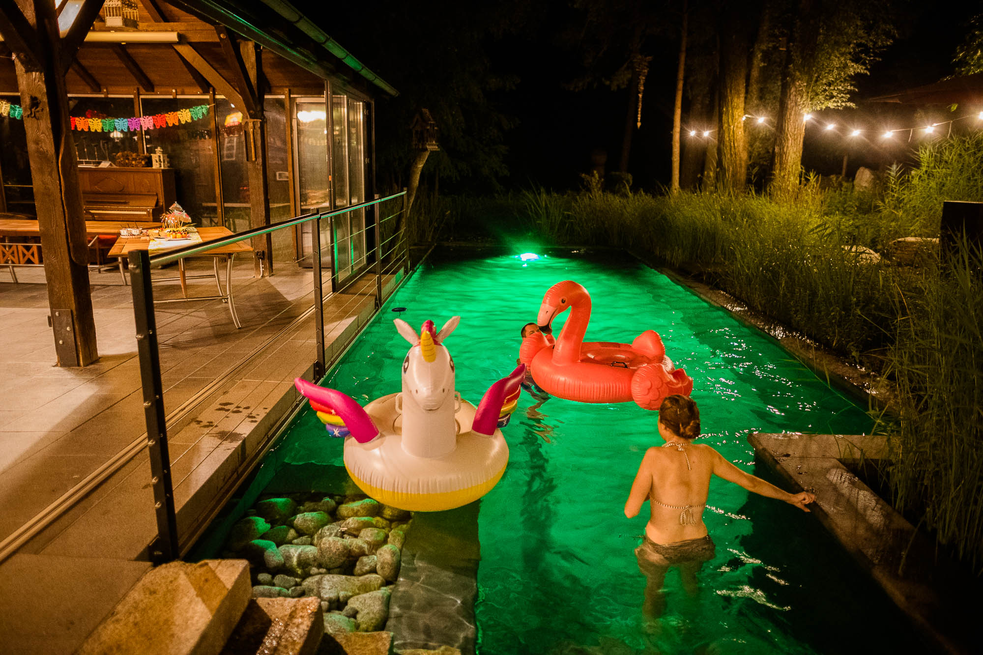 Export x3 1DX20475 Party