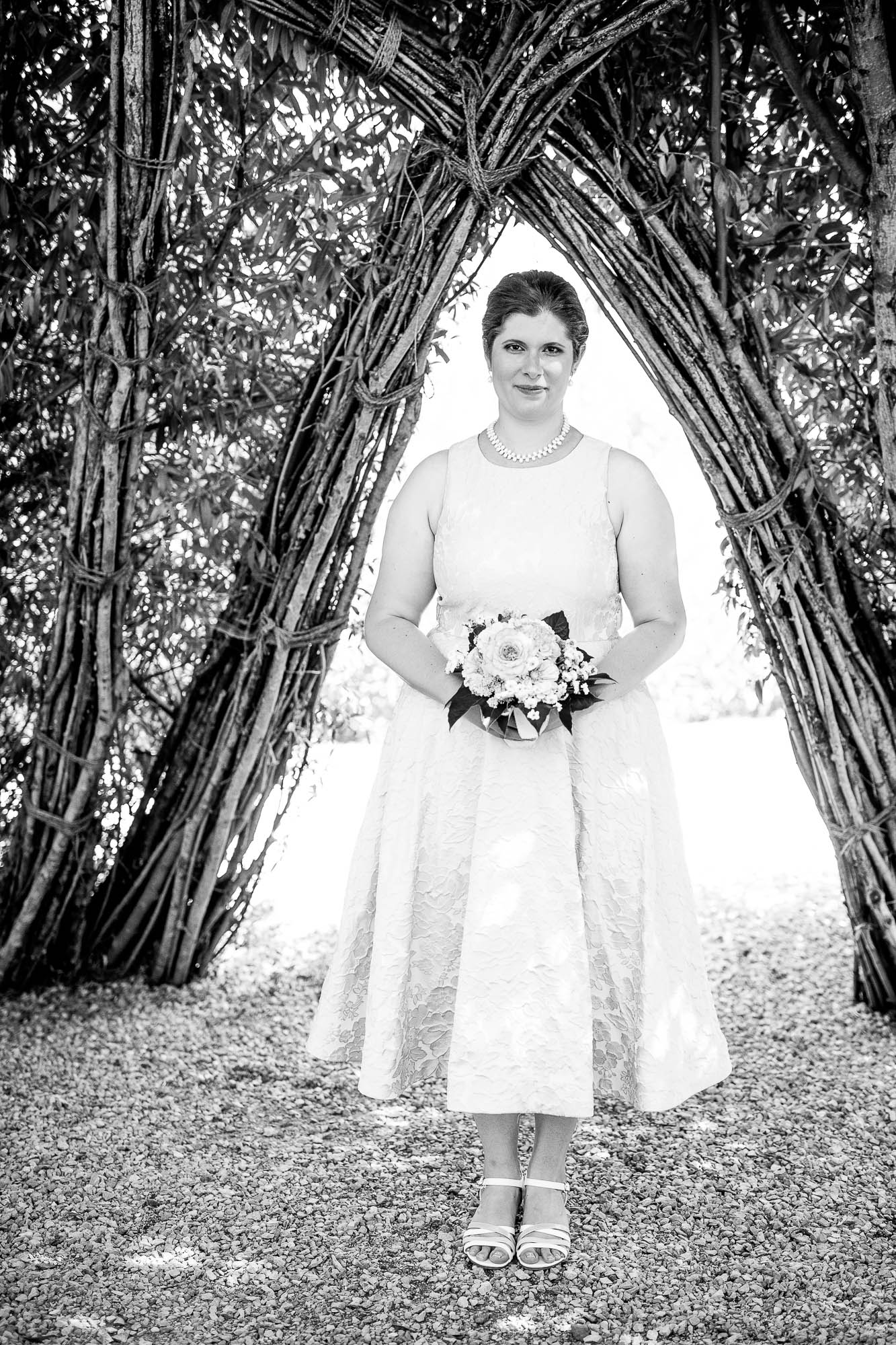 Export x3 1DX29863 Party