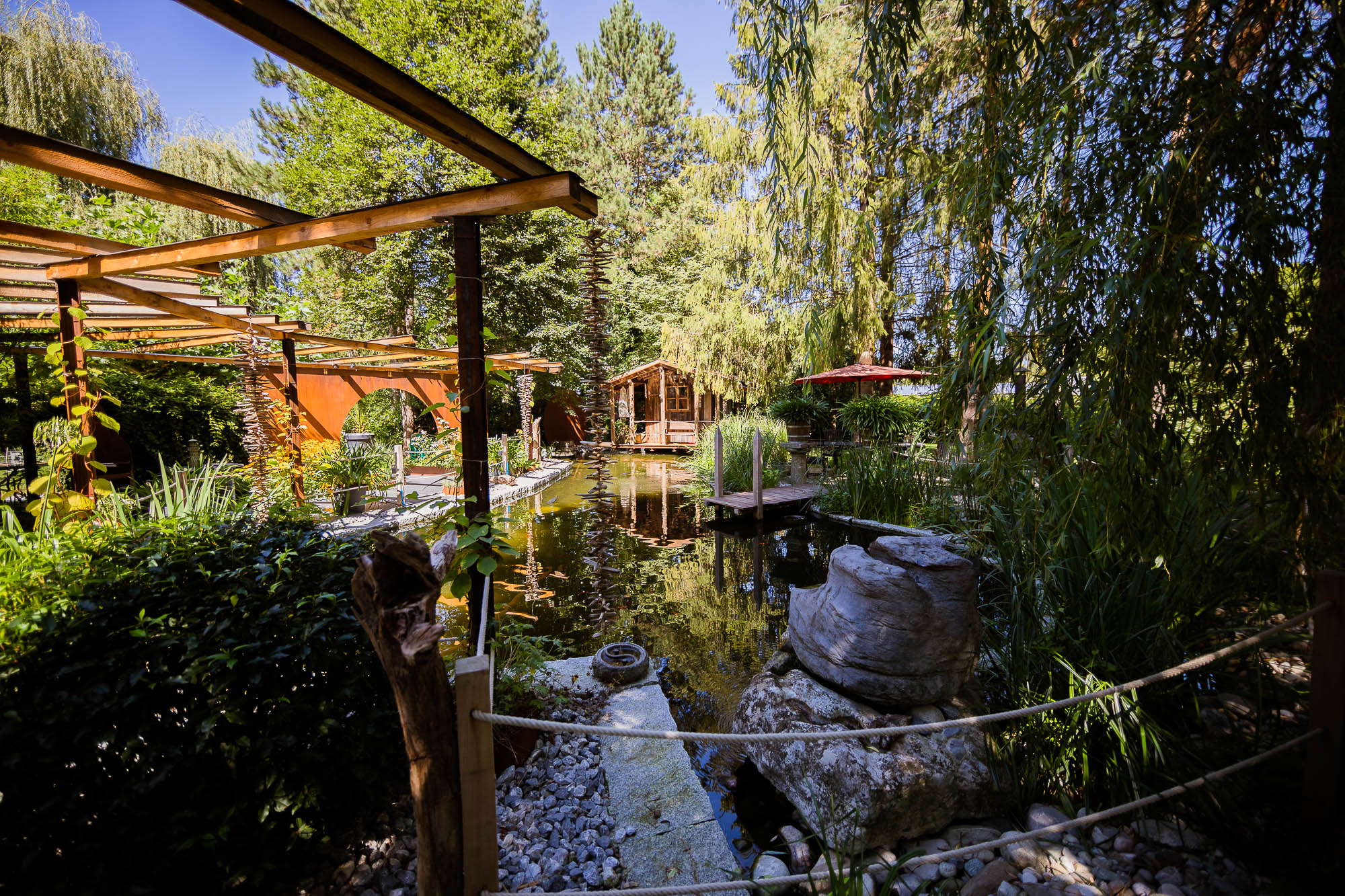 Export x3 5D4 2362 Party