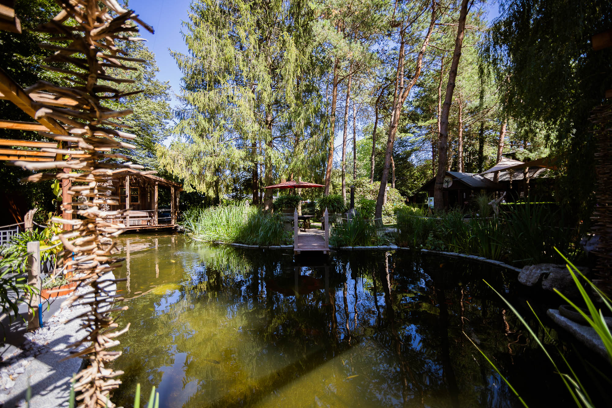 Export x3 5D4 2363 Party