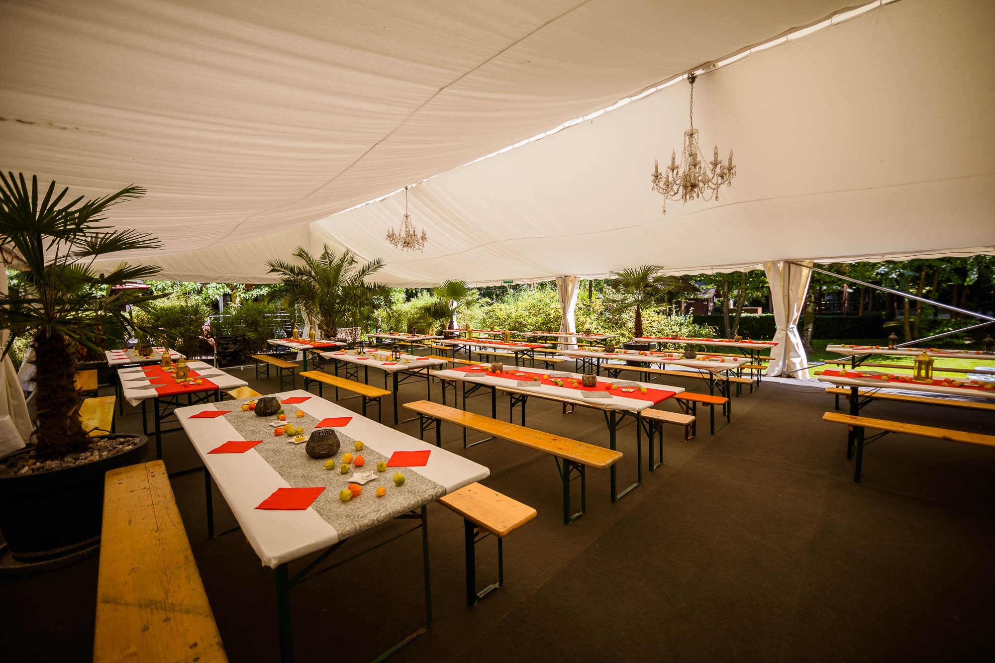 Export x3 5D4 2364 Party