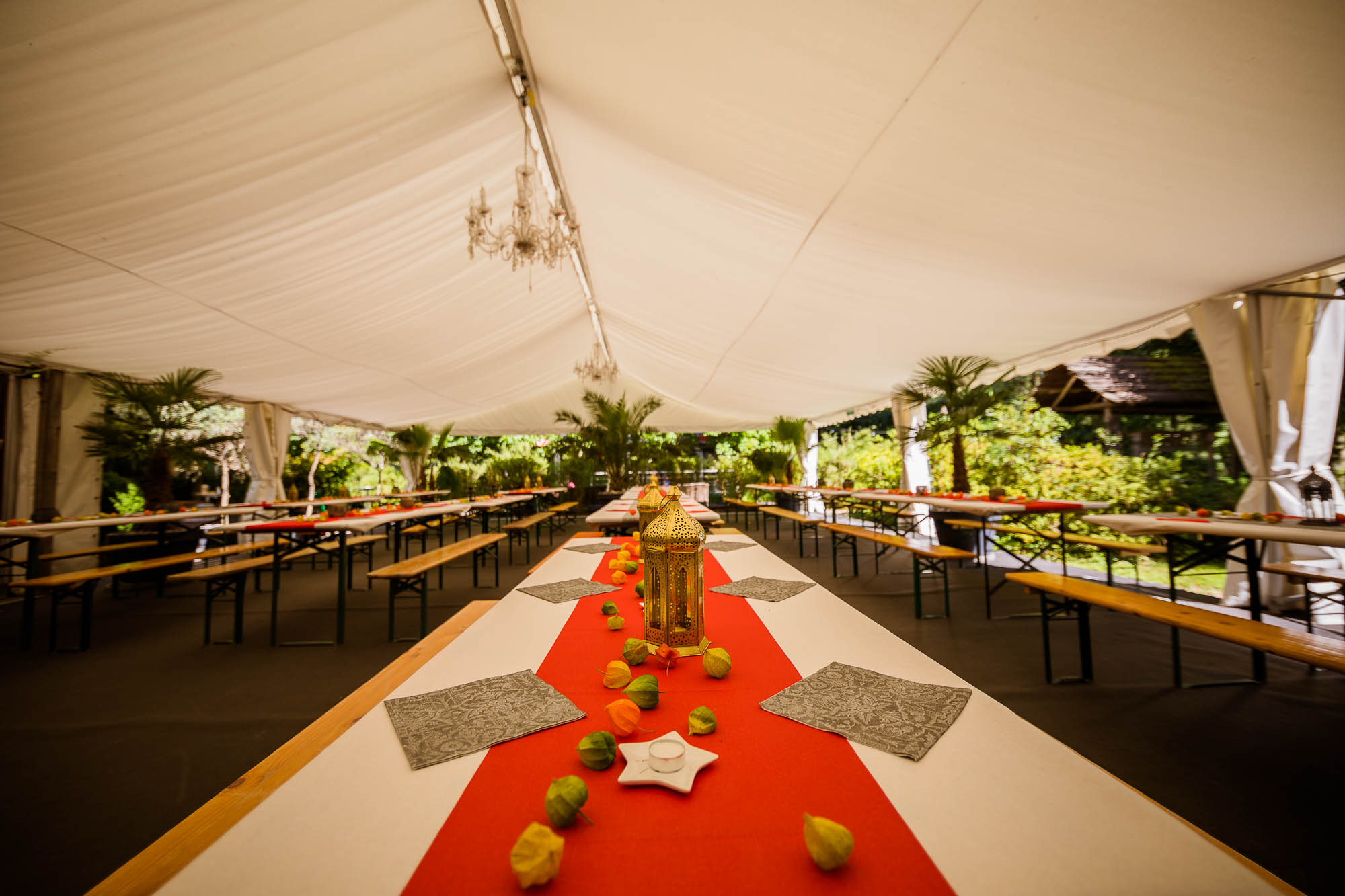 Export x3 5D4 2365 Party