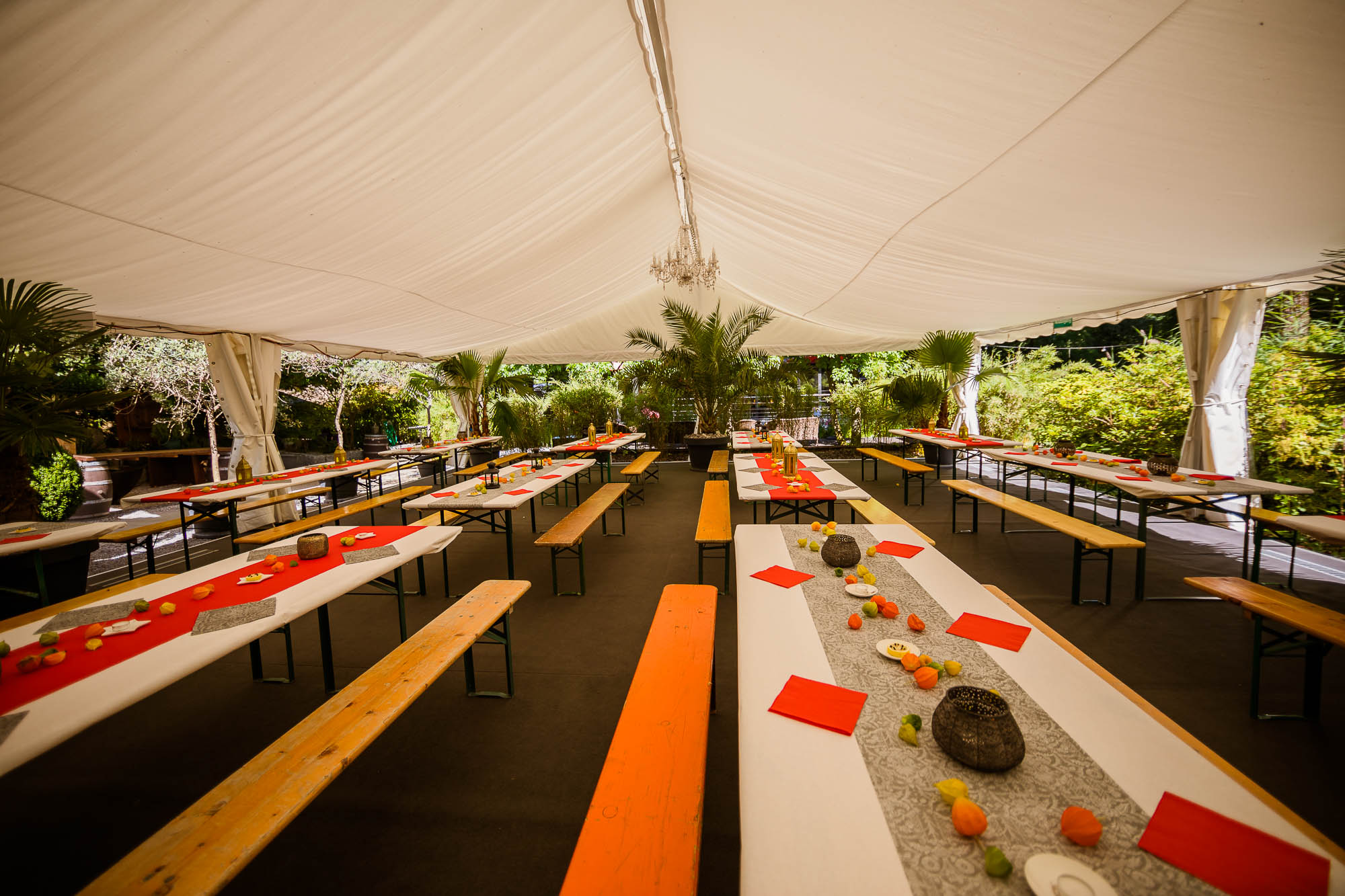 Export x3 5D4 2366 Party