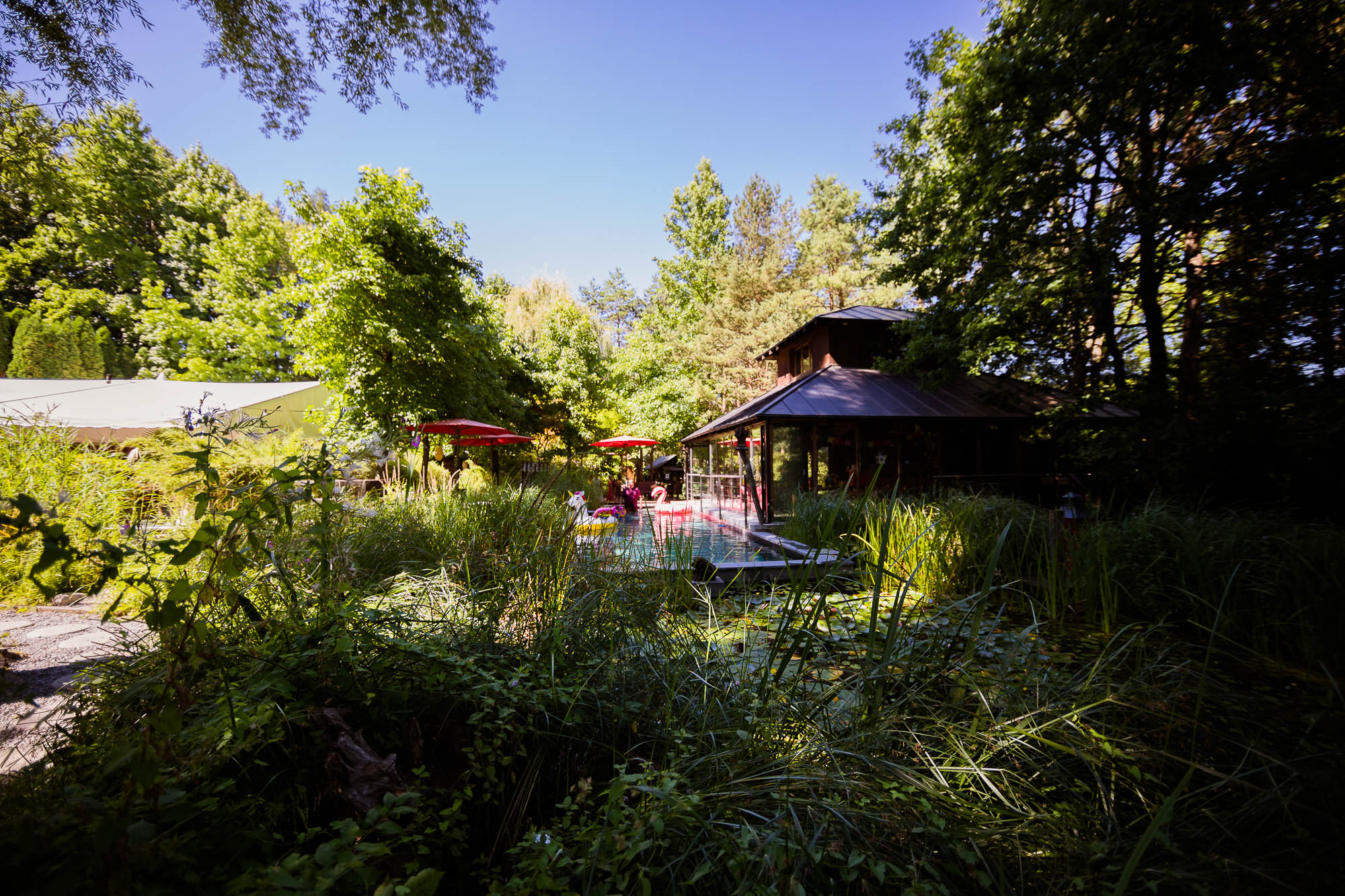 Export x3 5D4 2367 Party