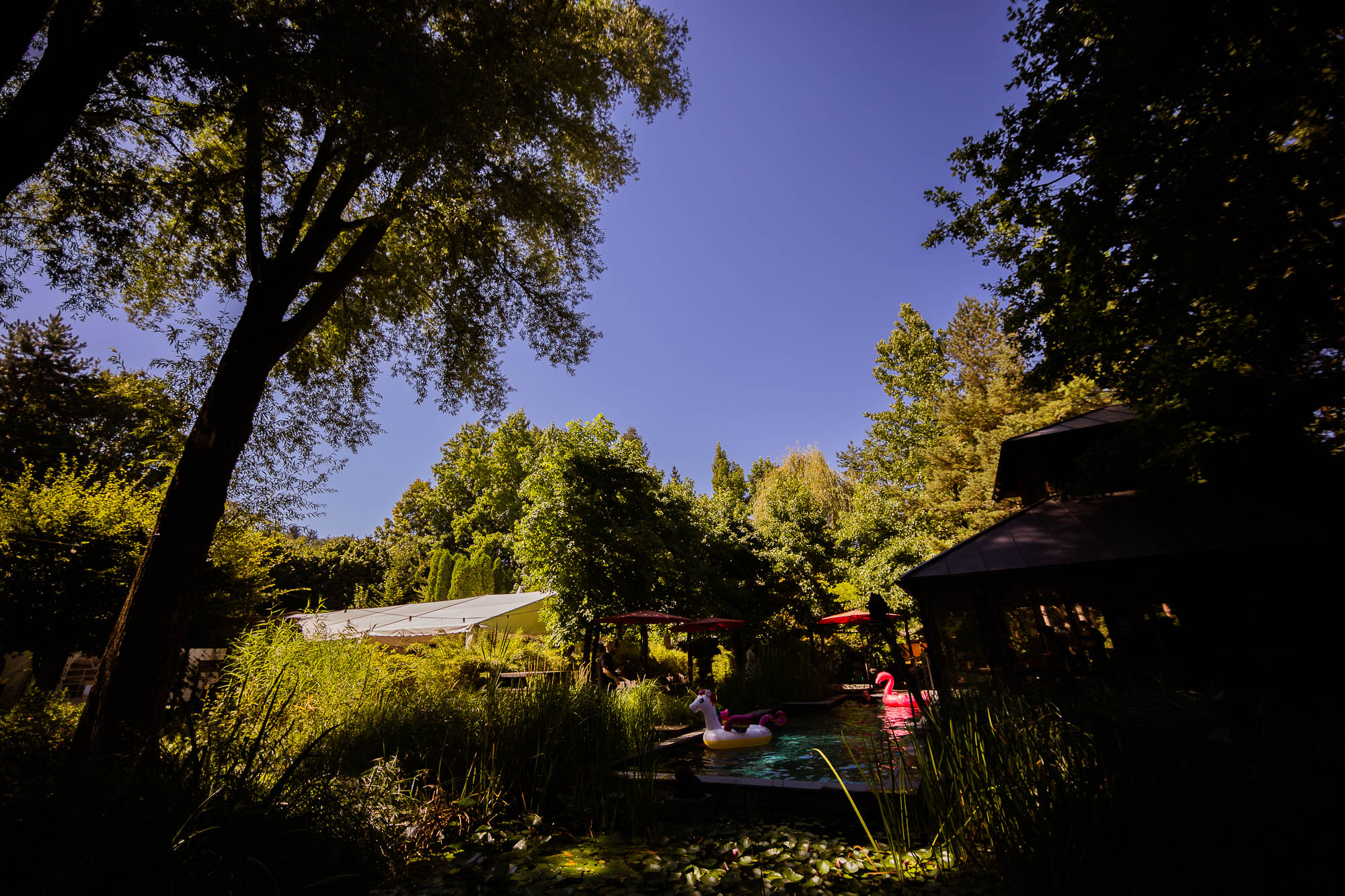 Export x3 5D4 2370 Party