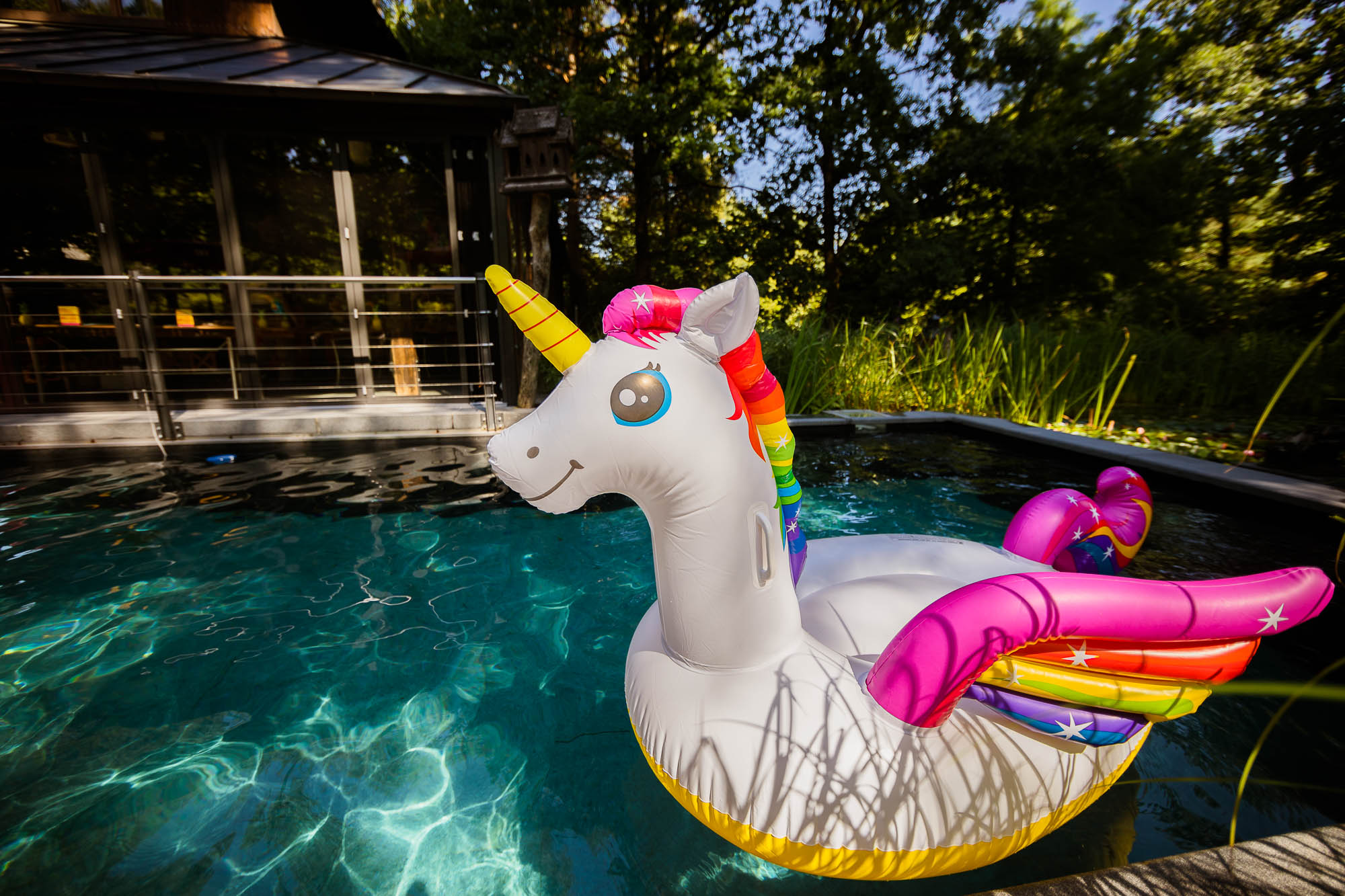 Export x3 5D4 2375 Party