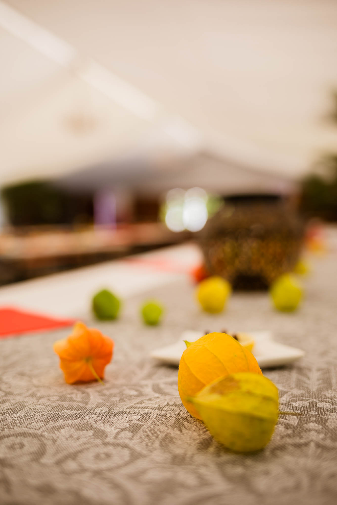 Export x3 5D4 2377 Party