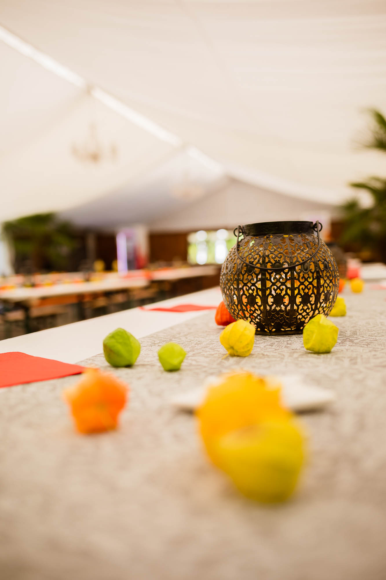 Export x3 5D4 2378 Party