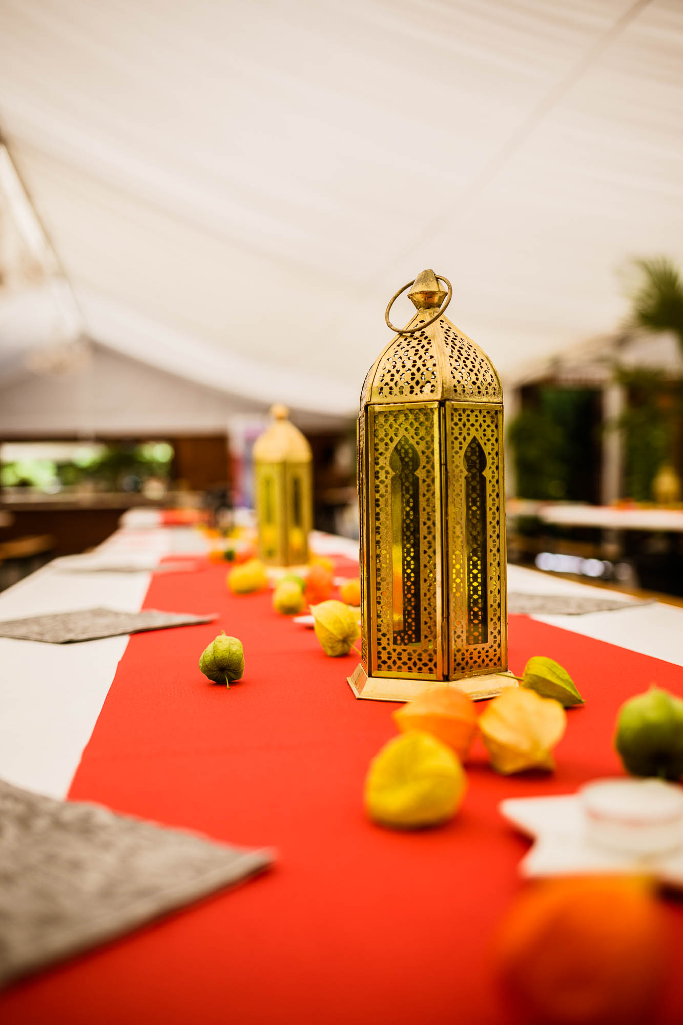 Export x3 5D4 2379 Party