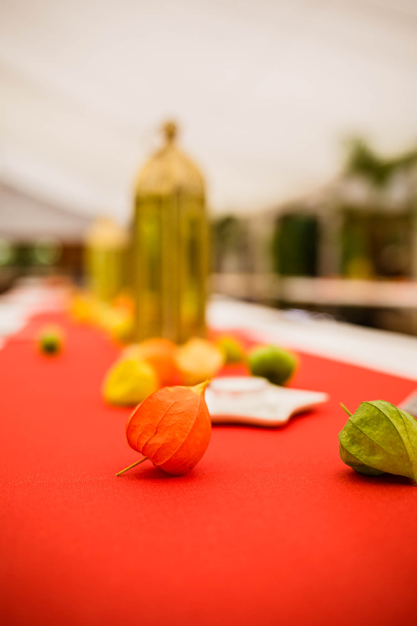 Export x3 5D4 2381 Party