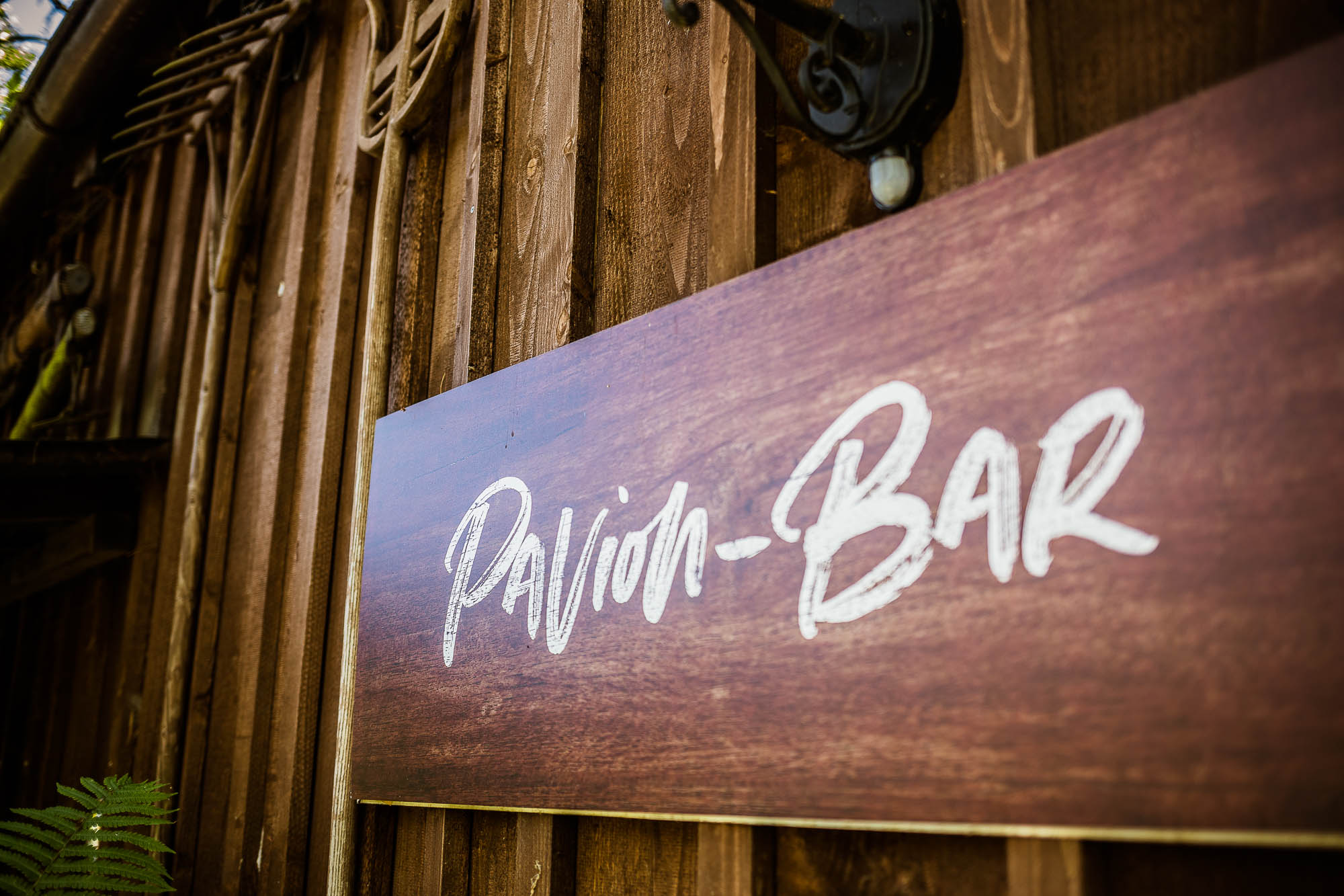 Export x3 5D4 2392 Party