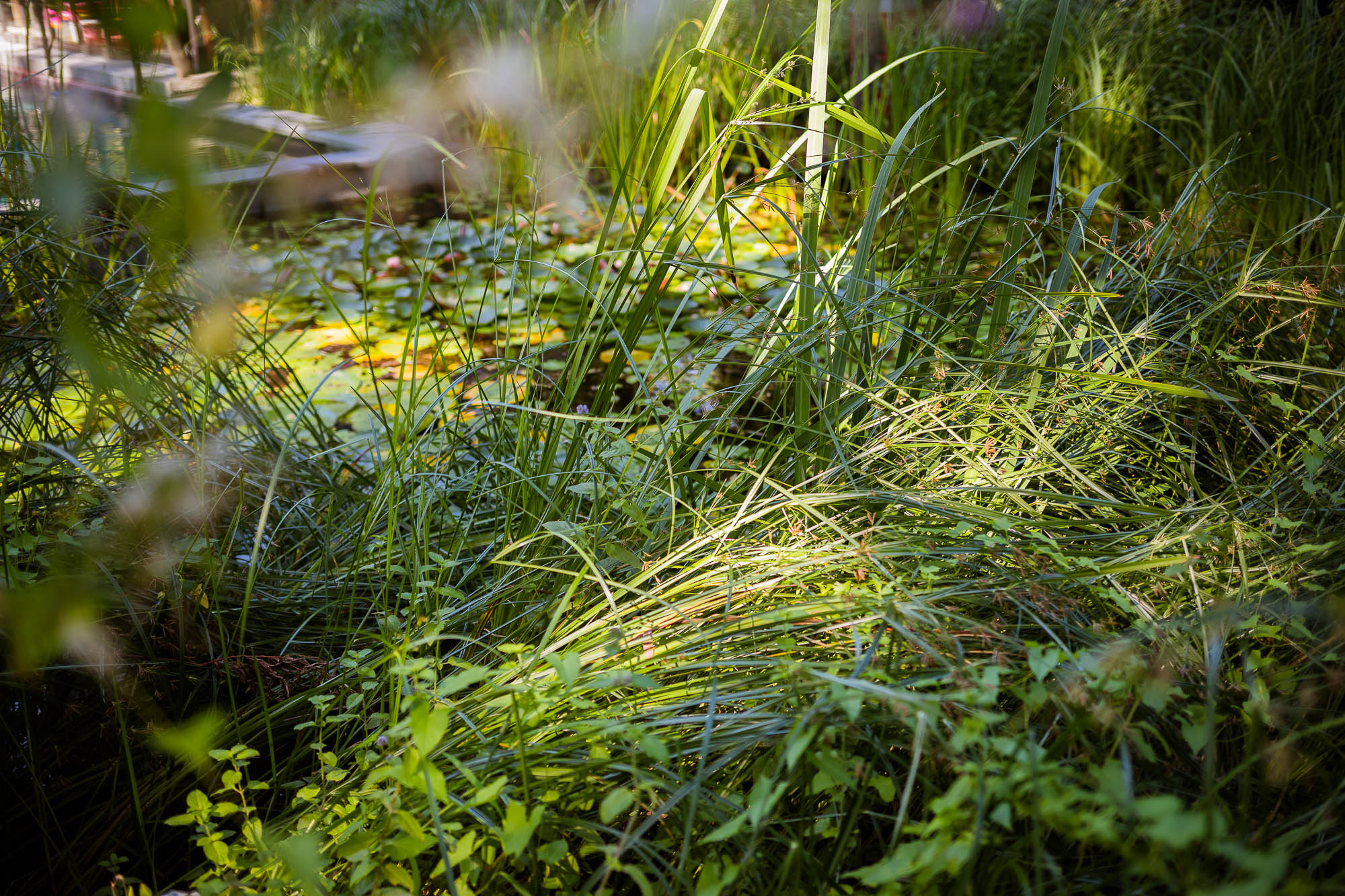 Export x3 5D4 2394 Party