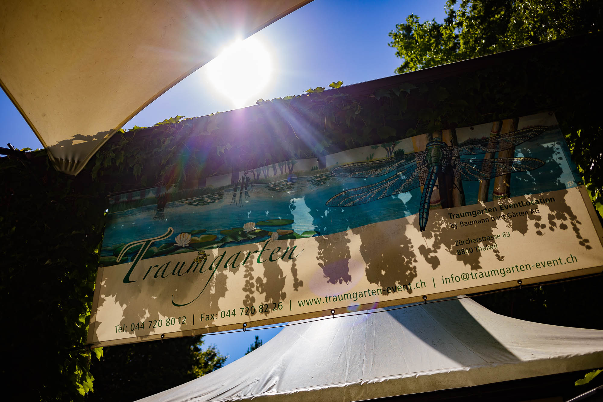 Export x3 5D4 2397 Party