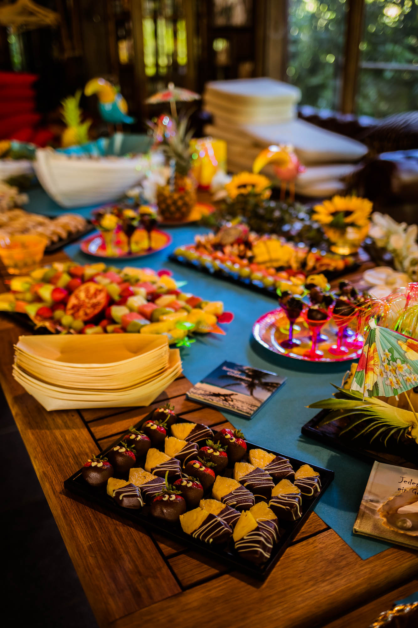 Export x3 5D4 2411 Party