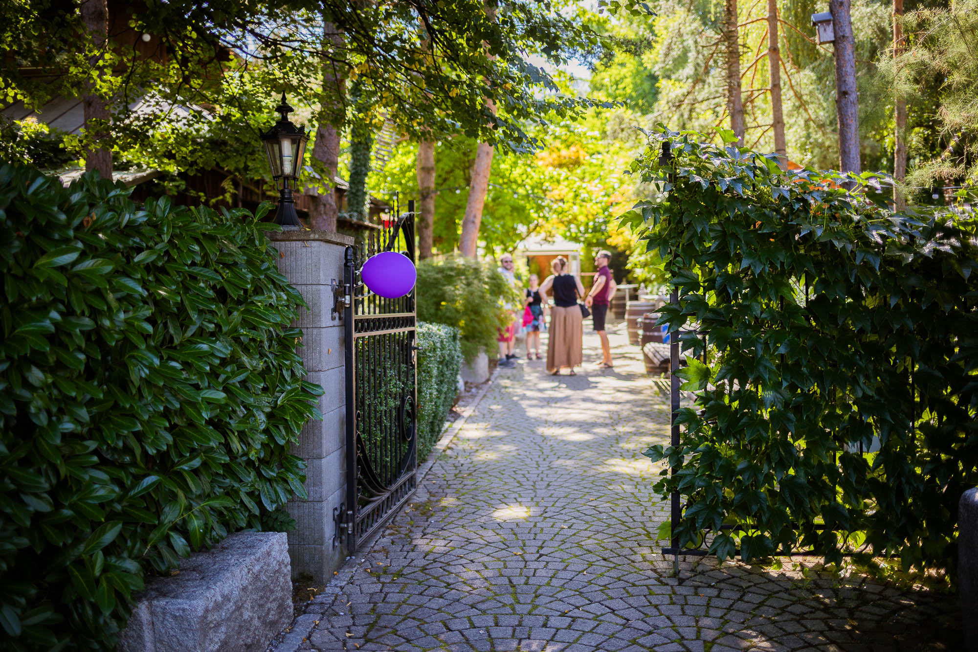 Export x3 5D4 2545 Party