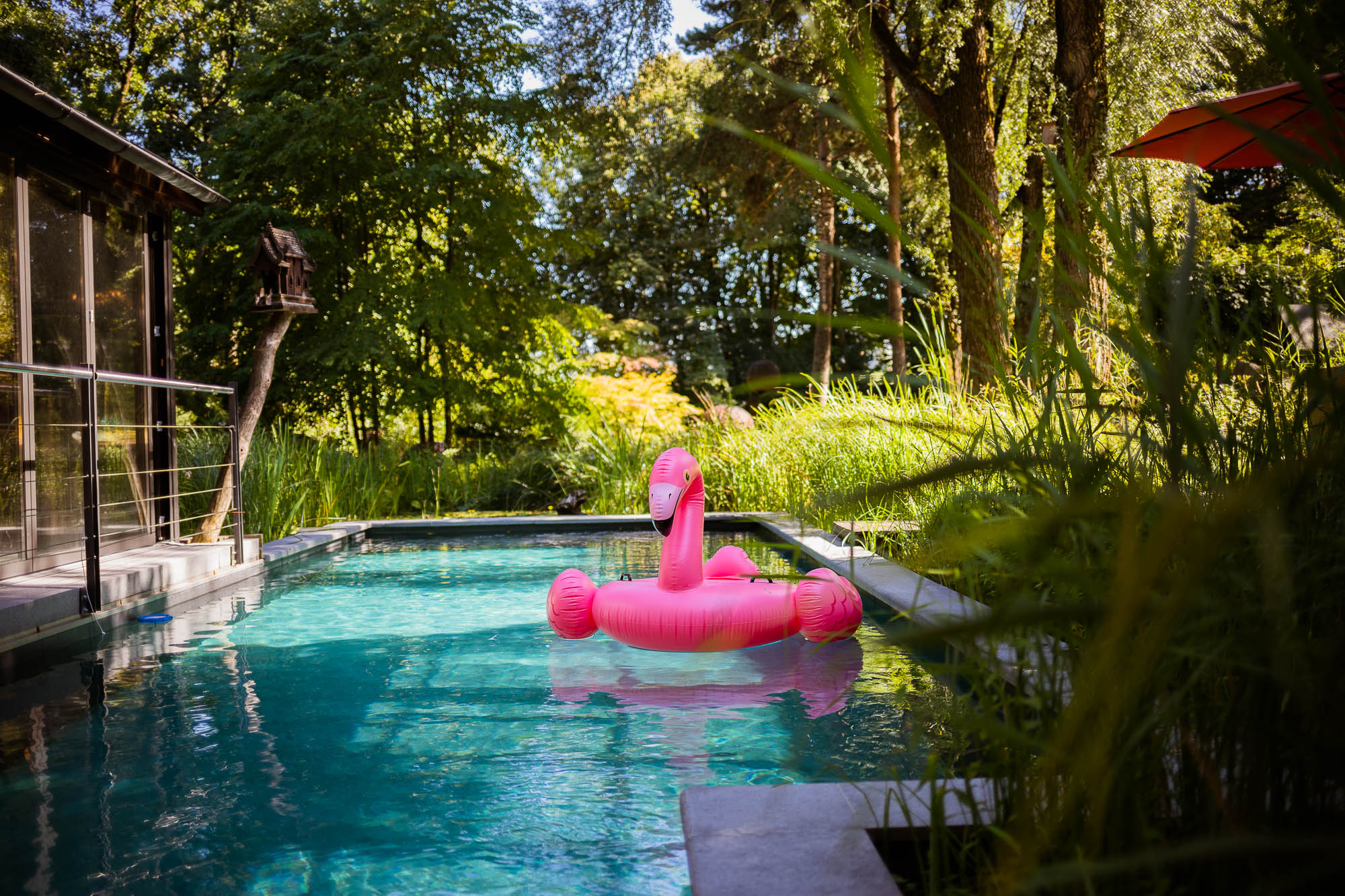 Export x3 5D4 2553 Party