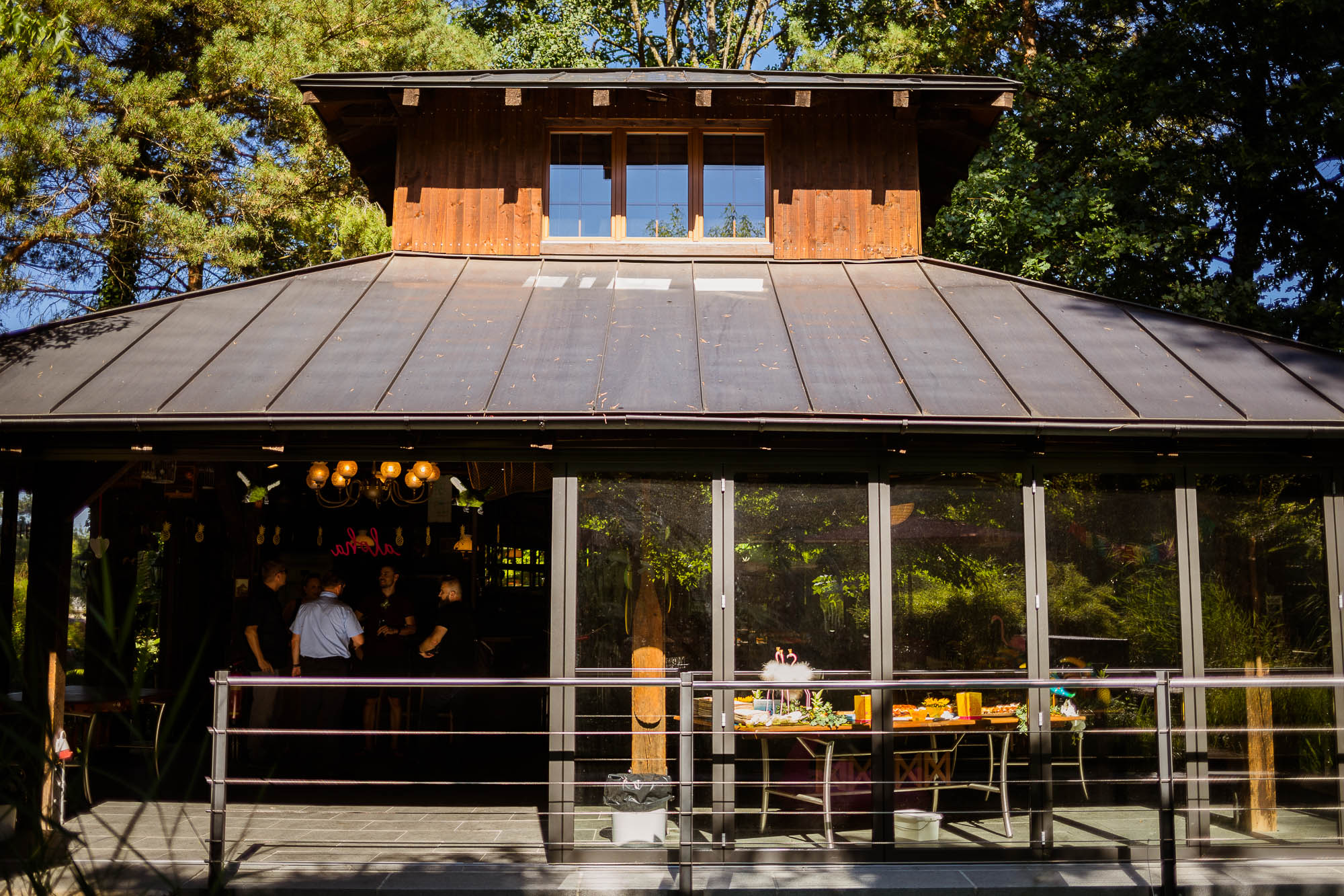 Export x3 5D4 2557 Party