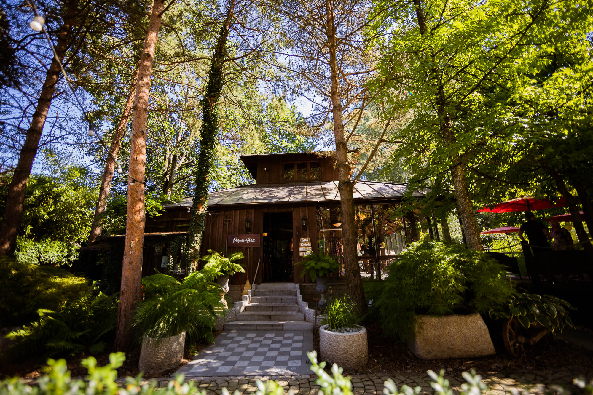 Export x3 5D4 2573 Party