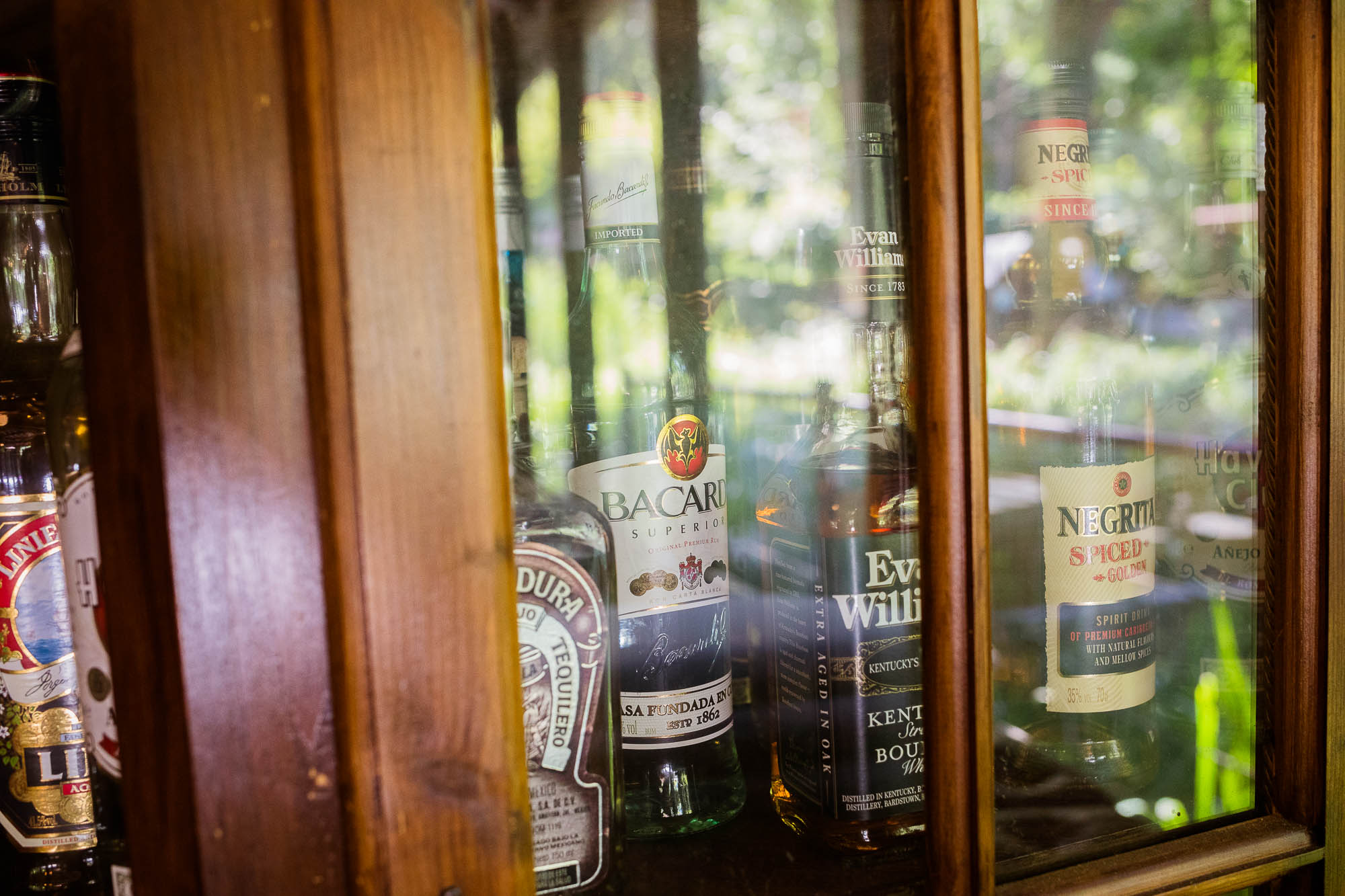 Export x3 5D4 2588 Party