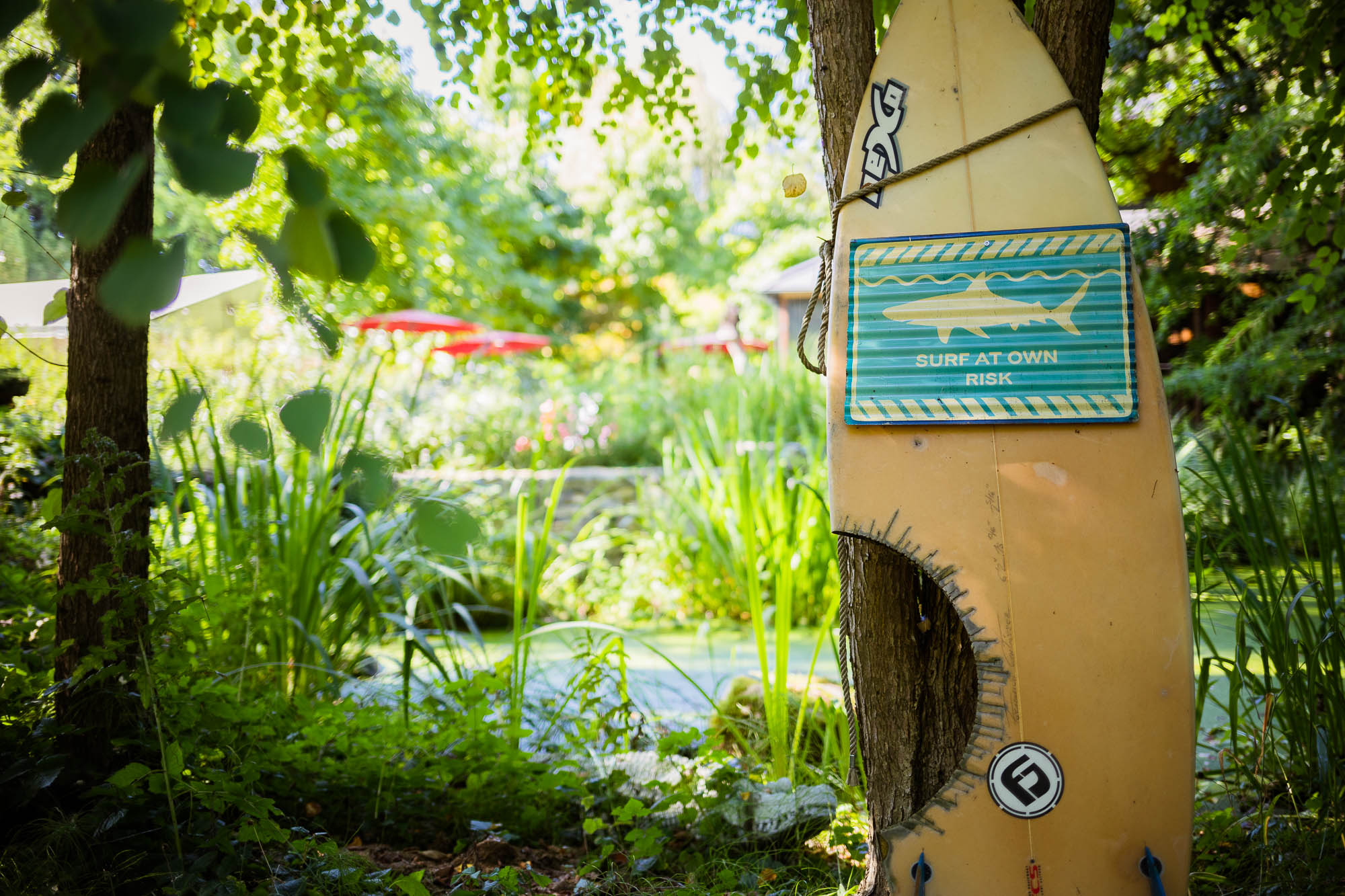 Export x3 5D4 2597 Party