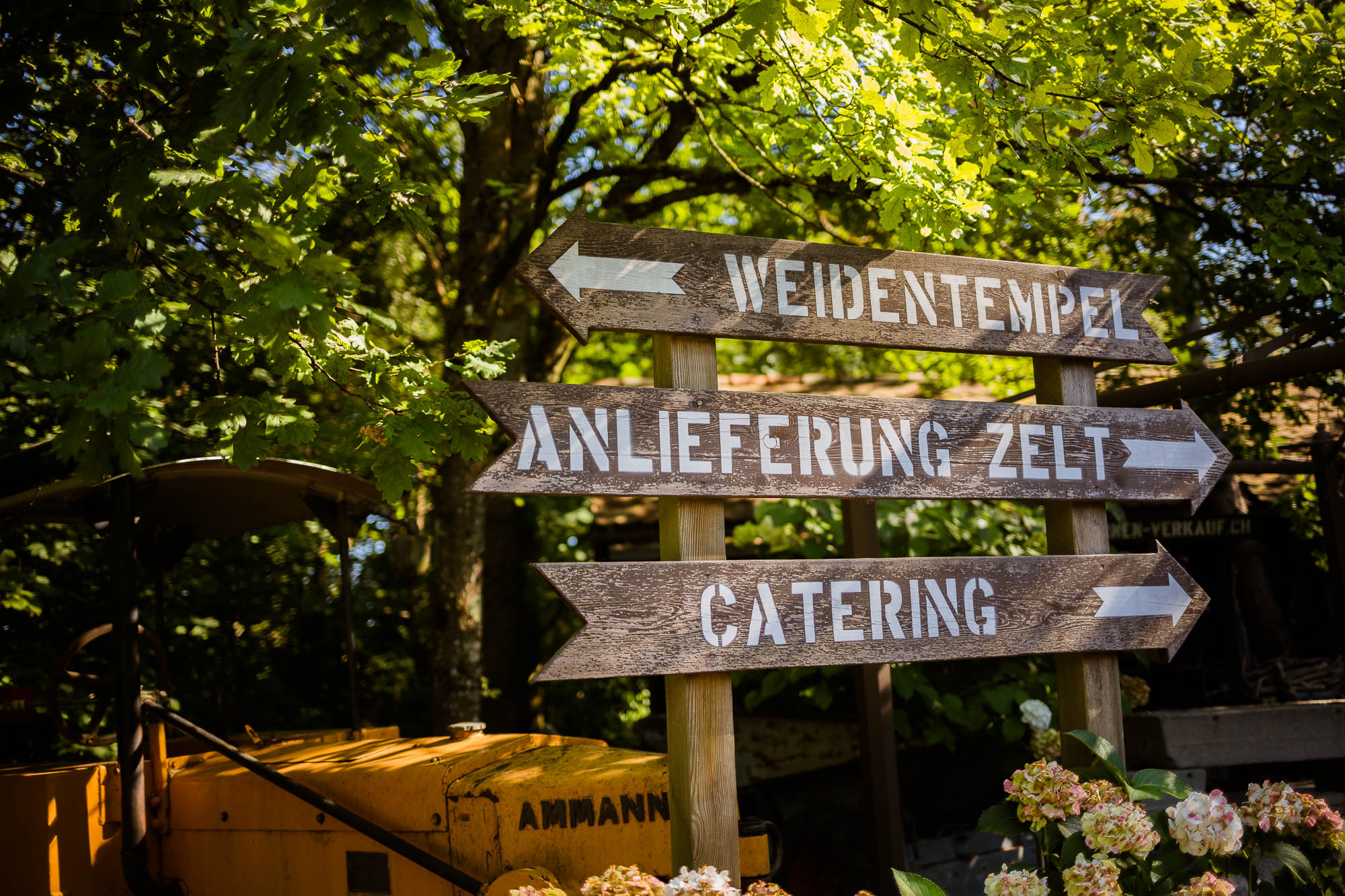 Export x3 5D4 2599 Party