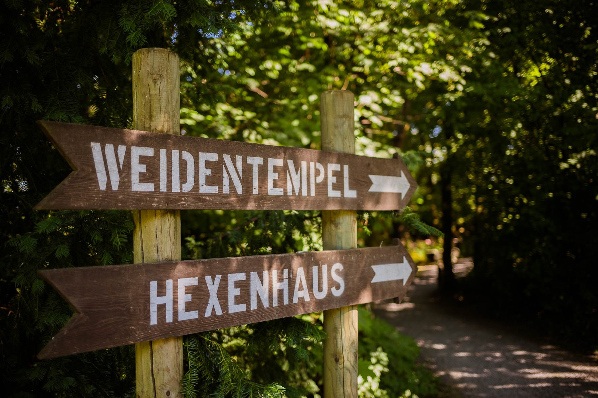 Export x3 5D4 2600 Party