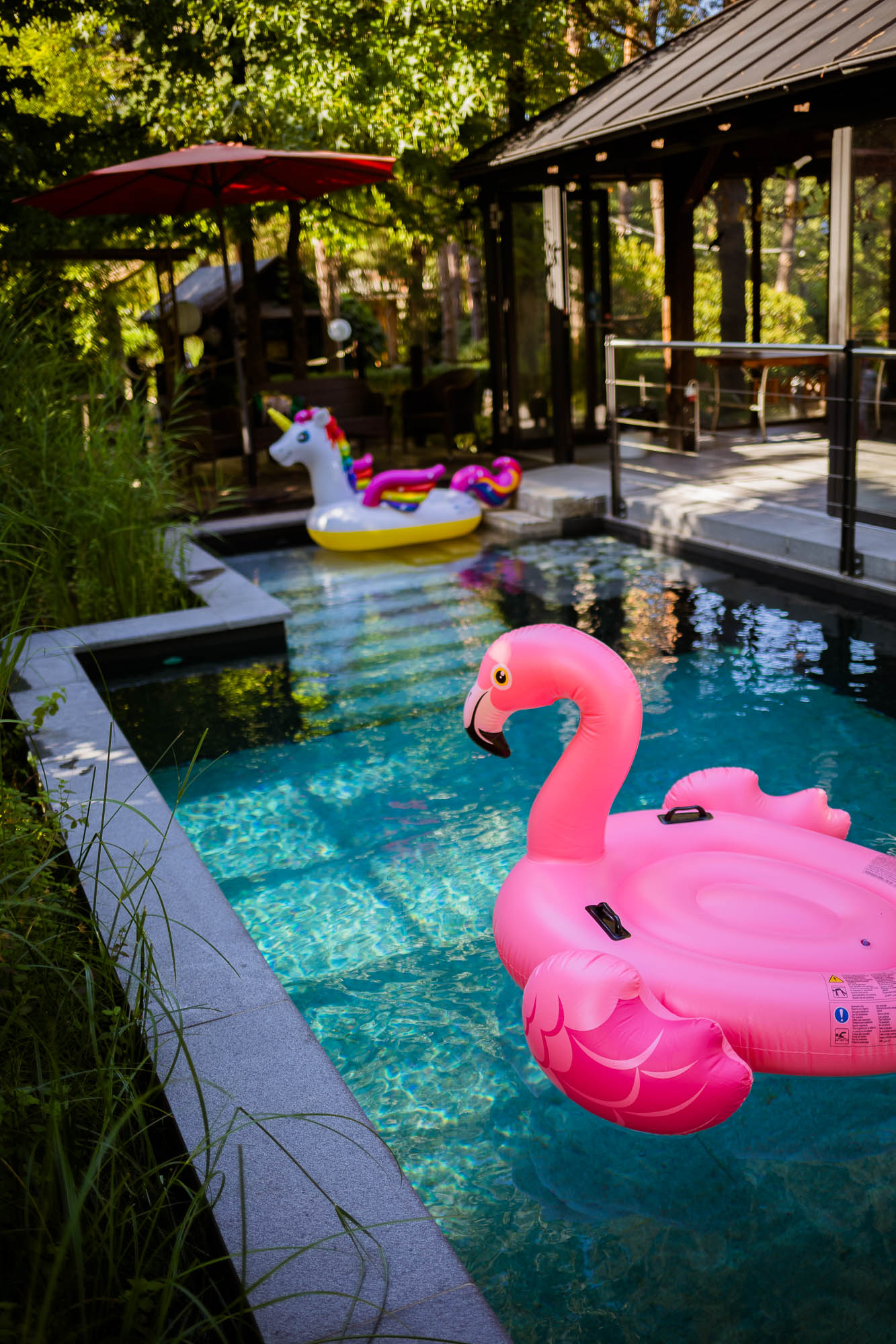 Export x3 5D4 2602 Party