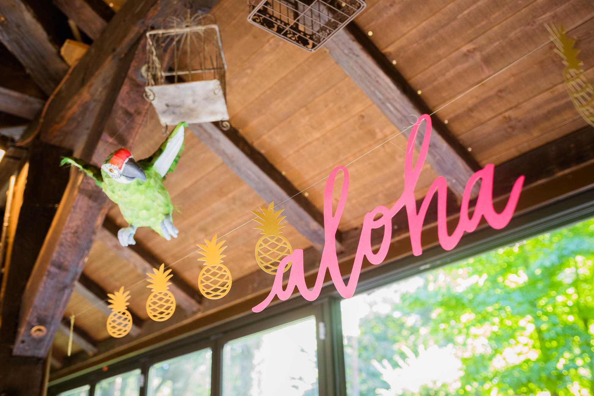 Export x3 5D4 2623 Party