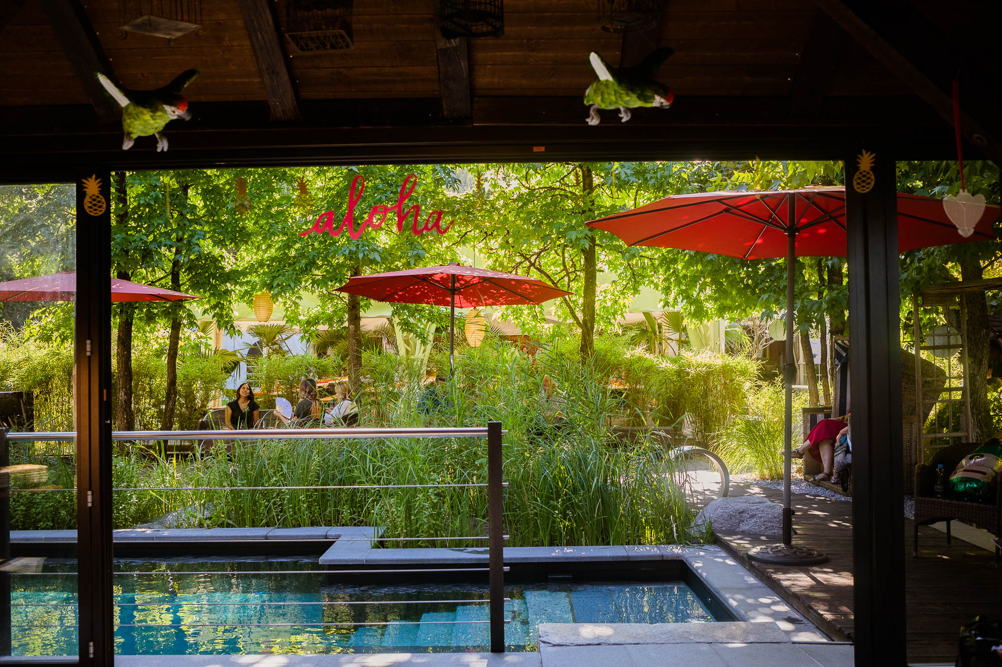 Export x3 5D4 2624 Party