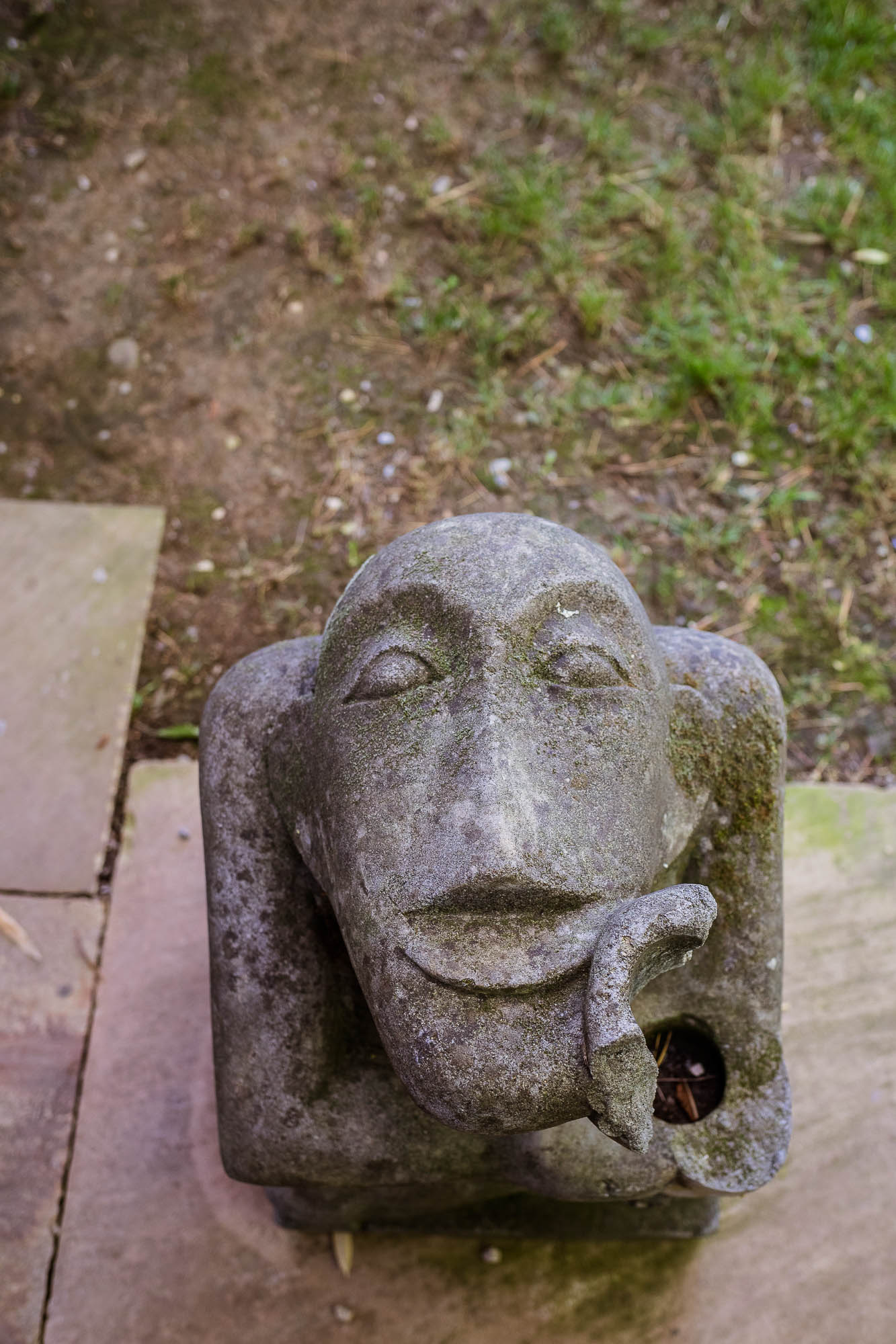 Export x3 5D4 2629 Party